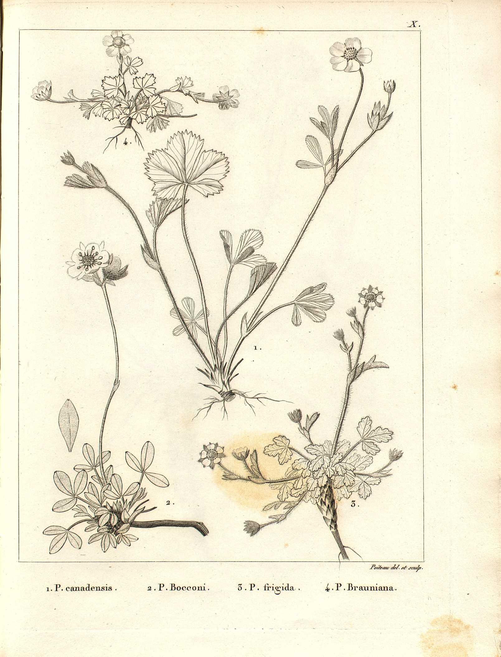 no full size  illustration available (3a)