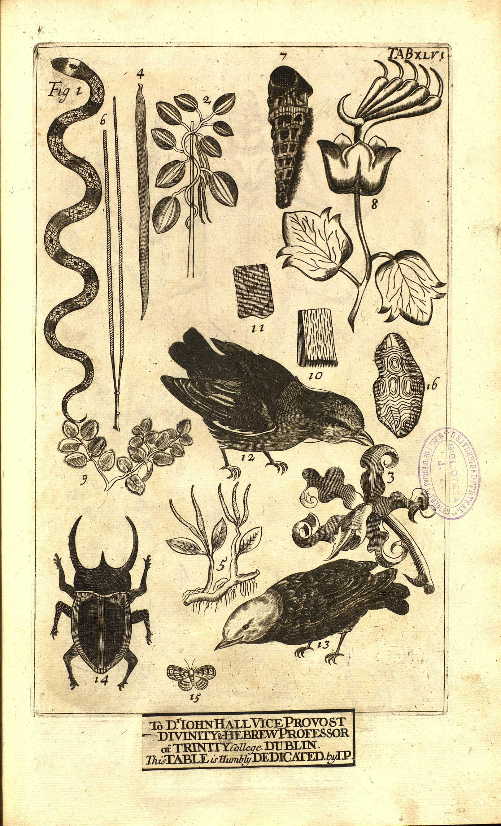 no full size  illustration available (3a)