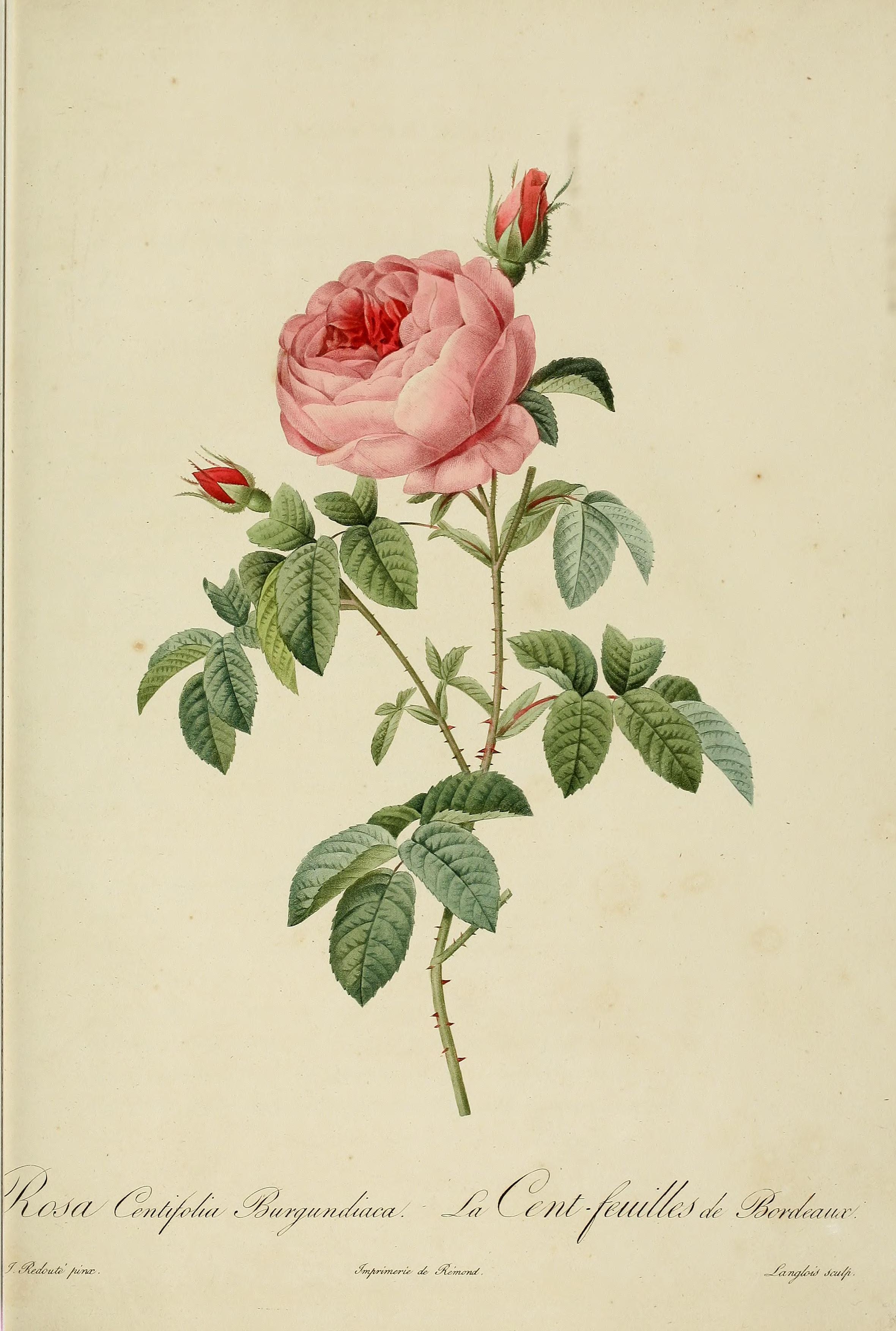 no full size  illustration available (3a)