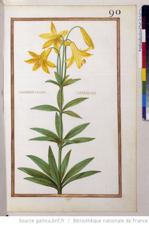 no full size  illustration available (3a)