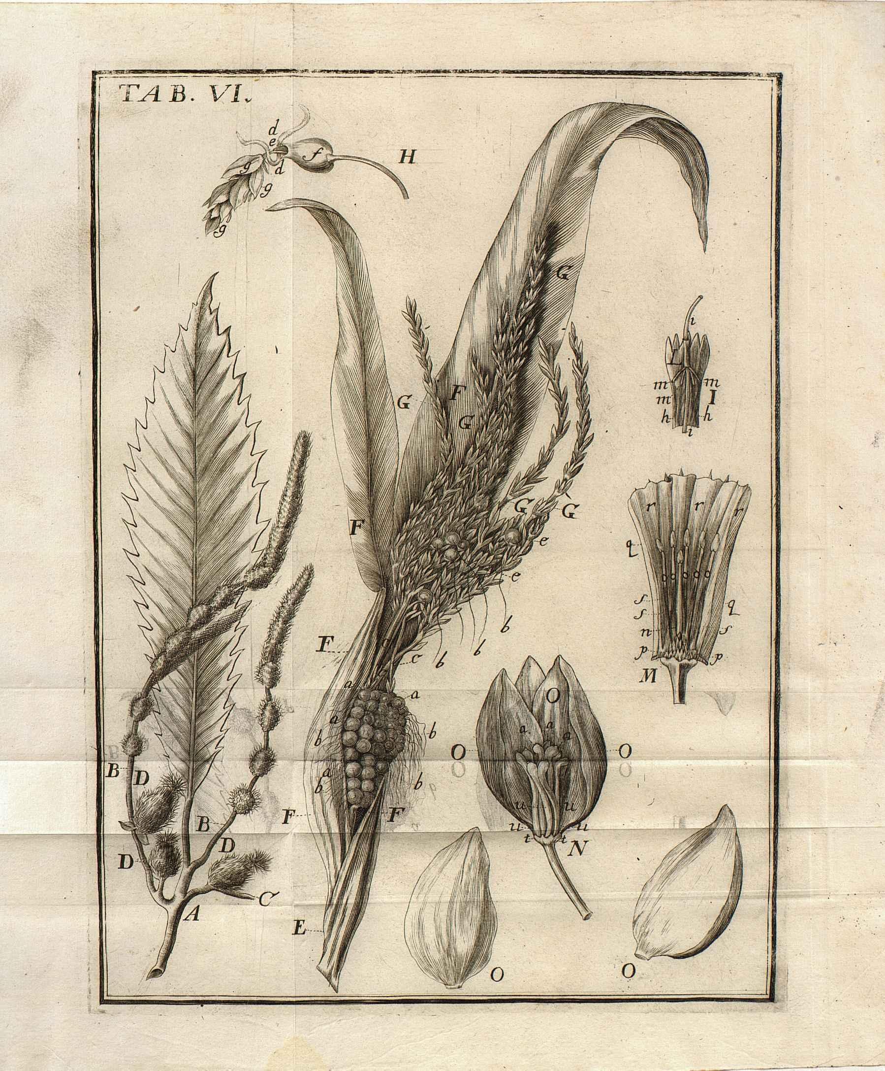 no full size  illustration available (3a)