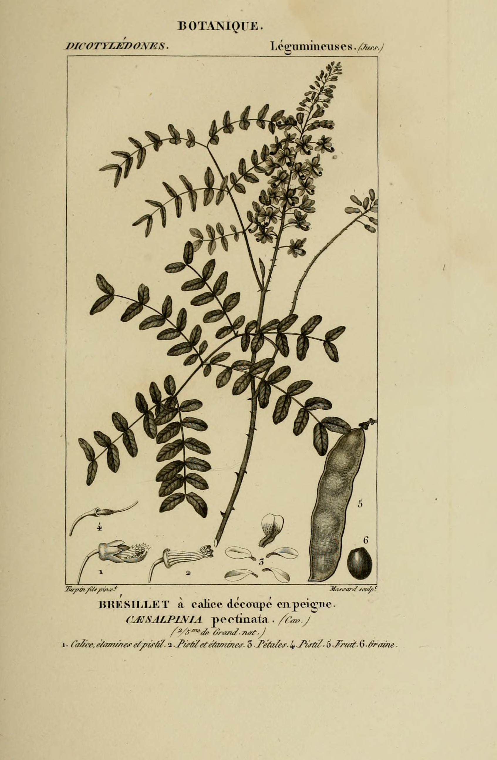 no full size  illustration available (3a)