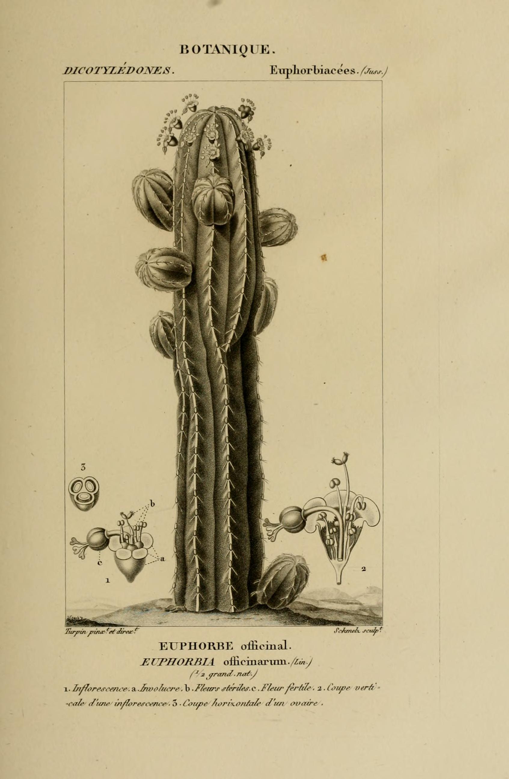 no full size  illustration available (3a)