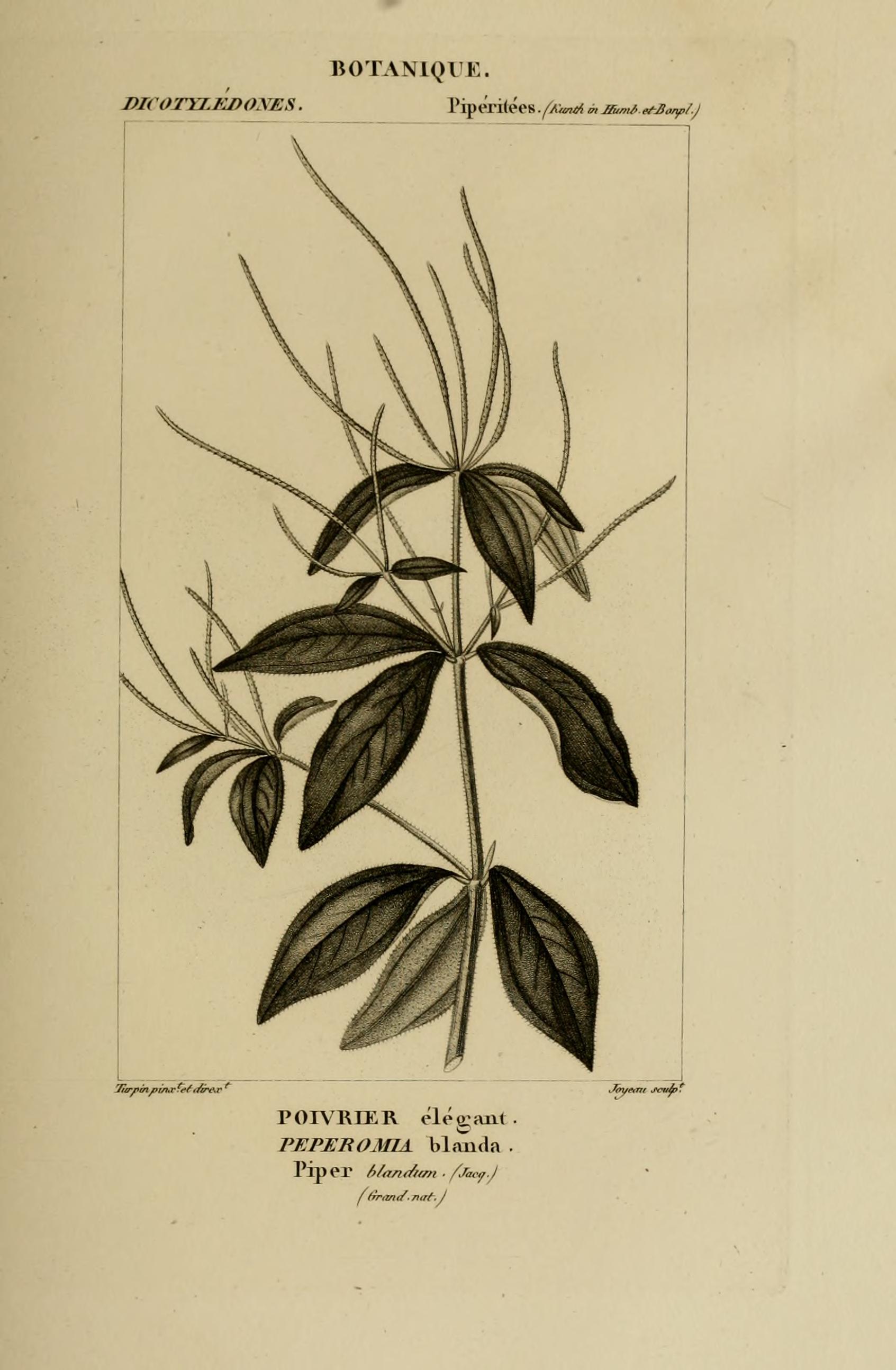 no full size  illustration available (3a)