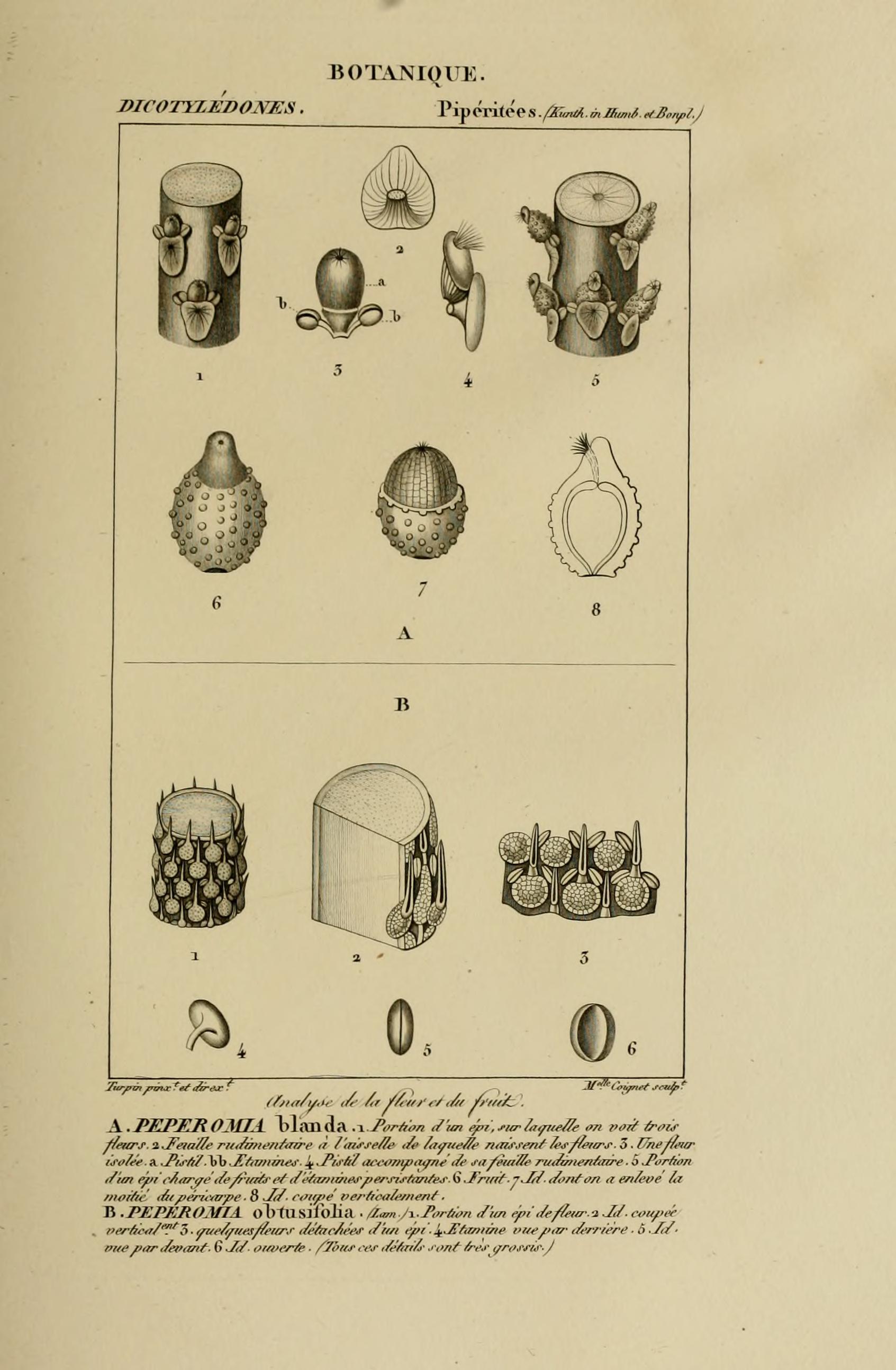 no full size  illustration available (3a)