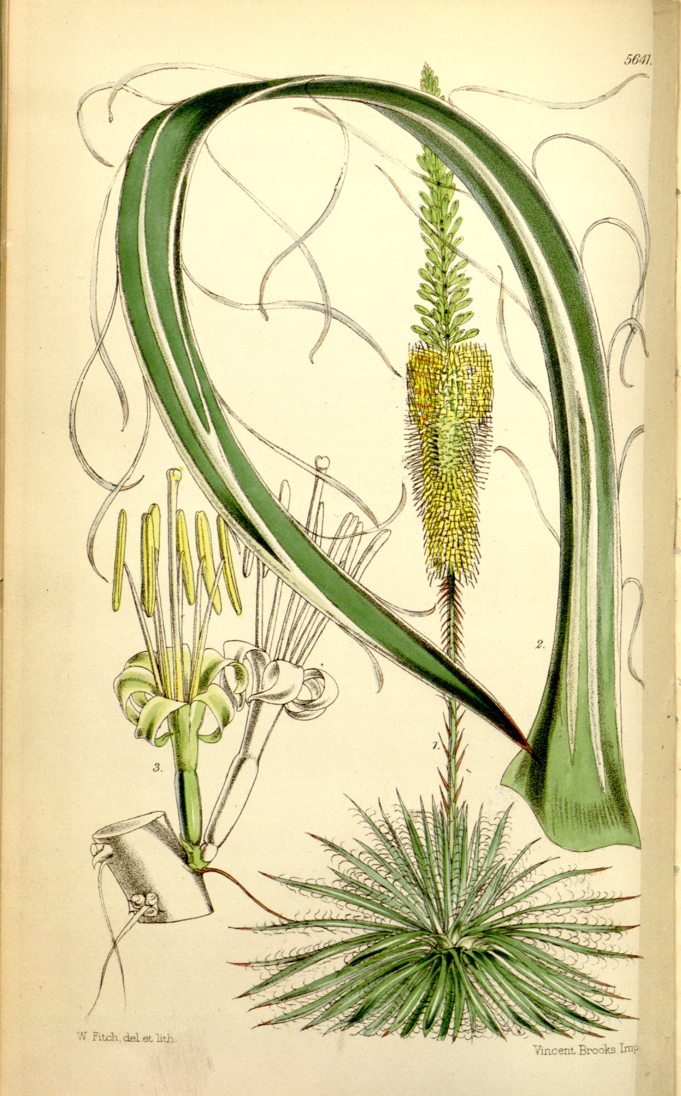 no full size  illustration available (3a)