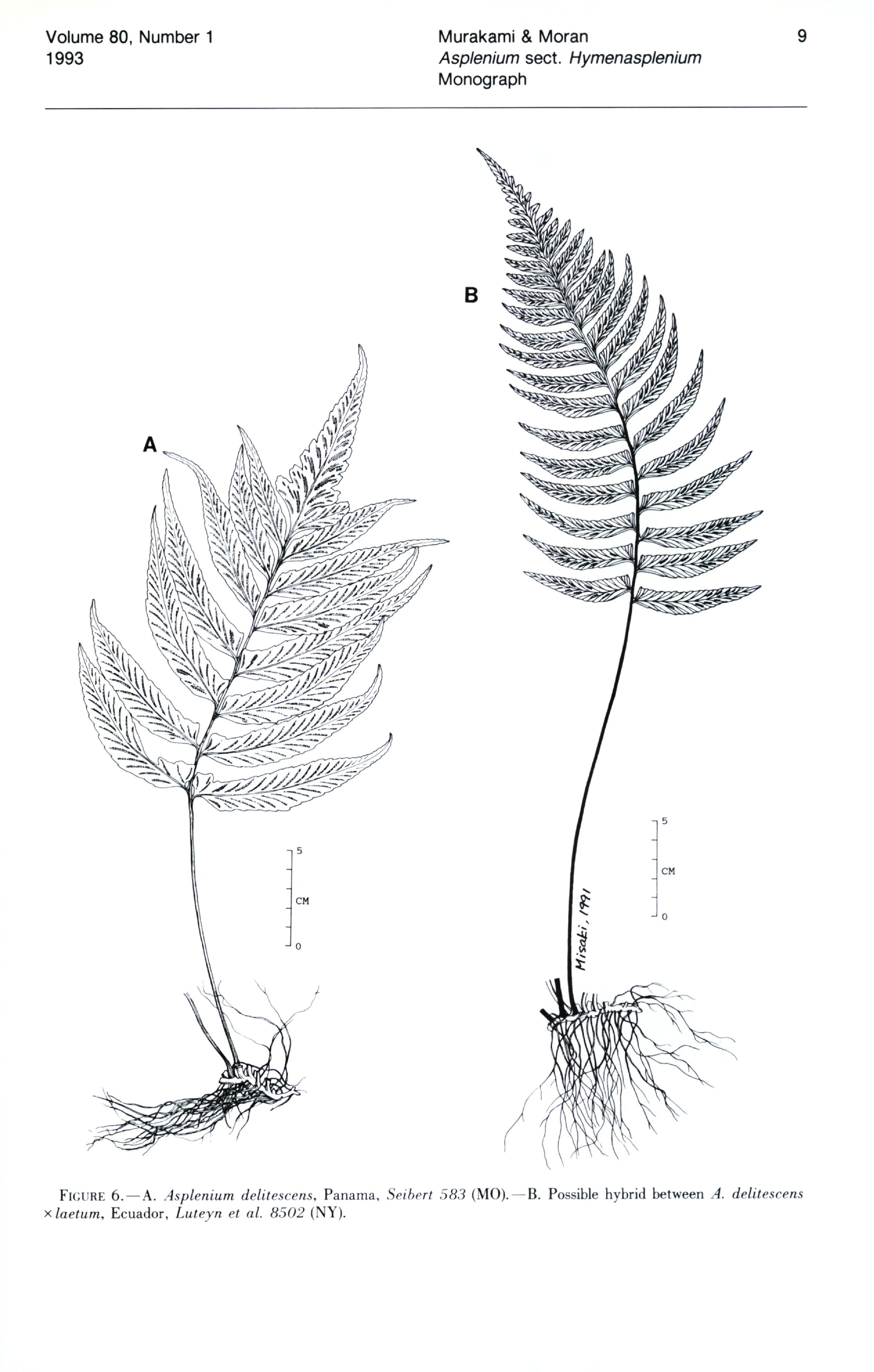 no full size  illustration available (3a)