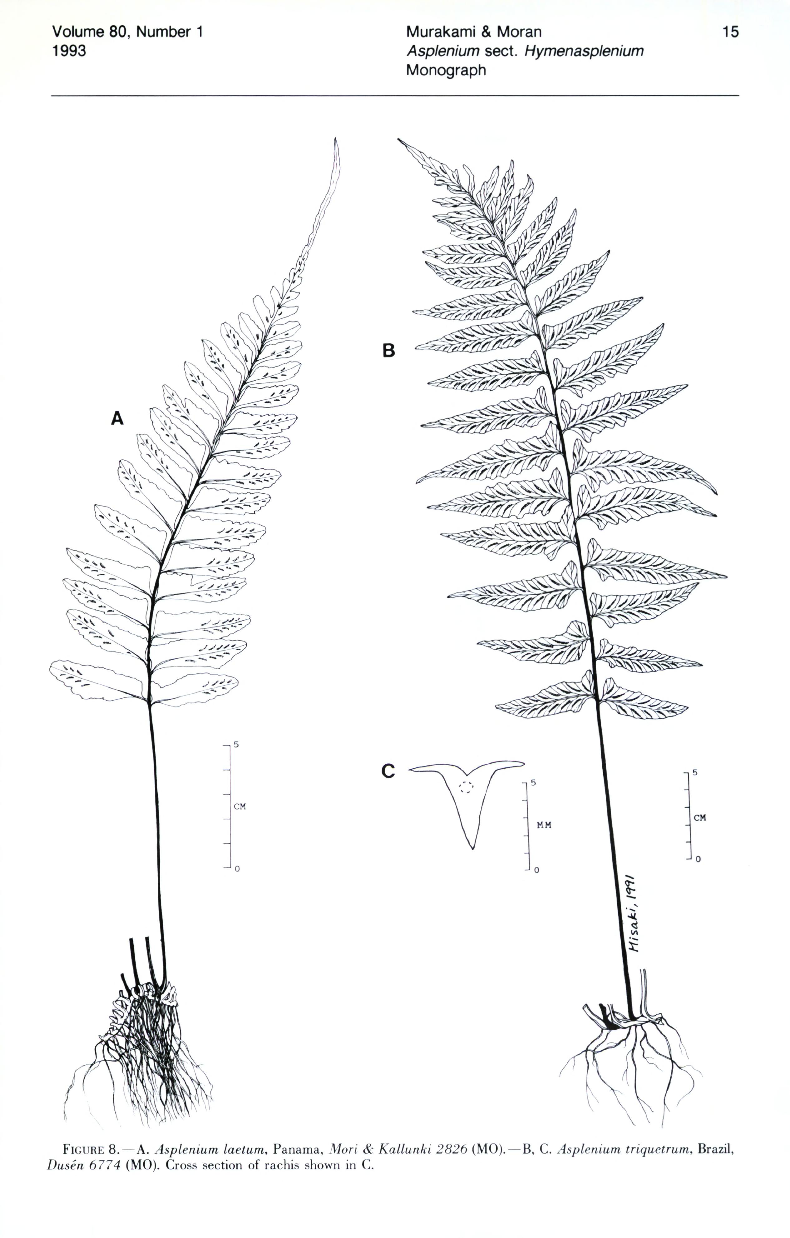 no full size  illustration available (3a)