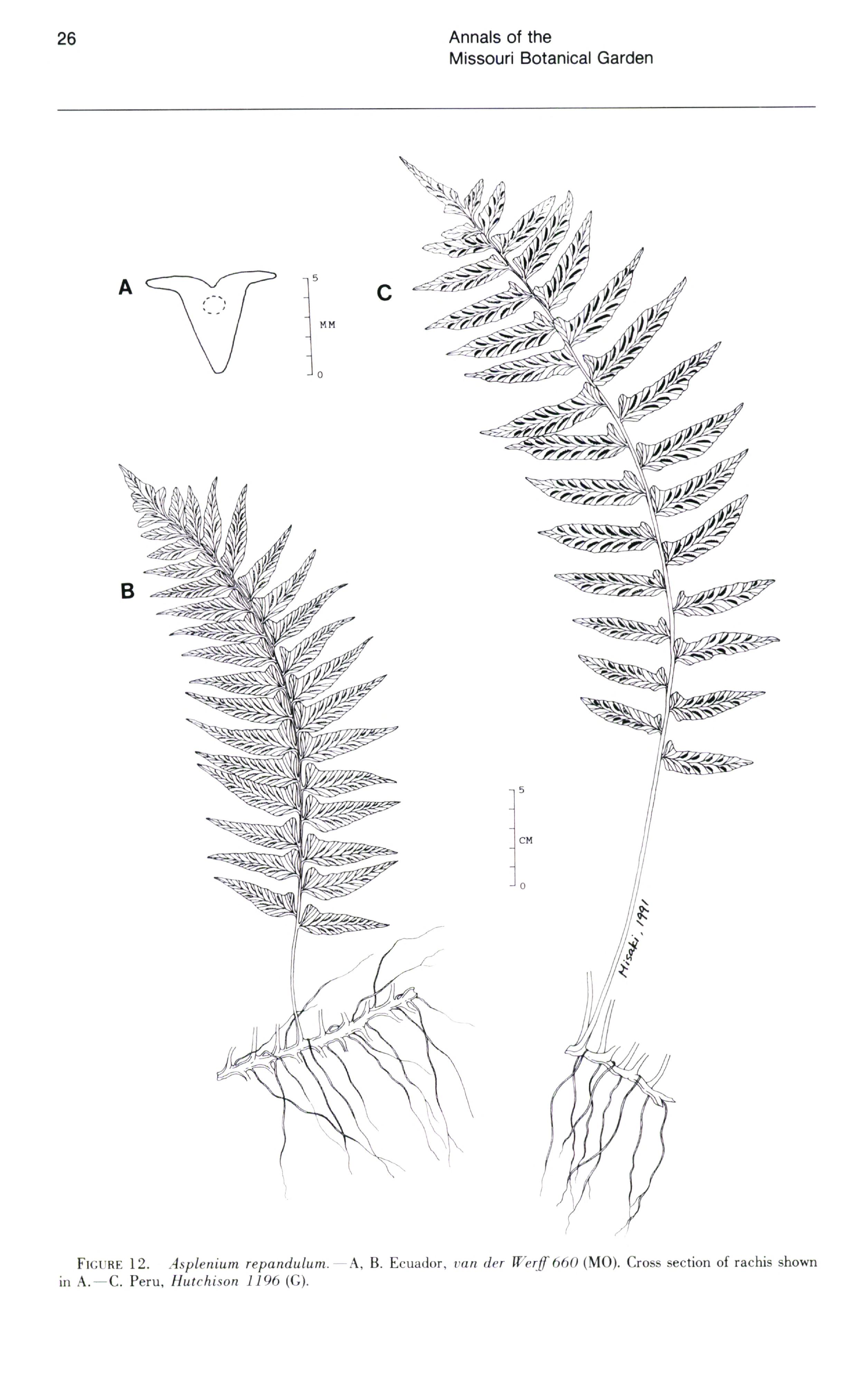 no full size  illustration available (3a)