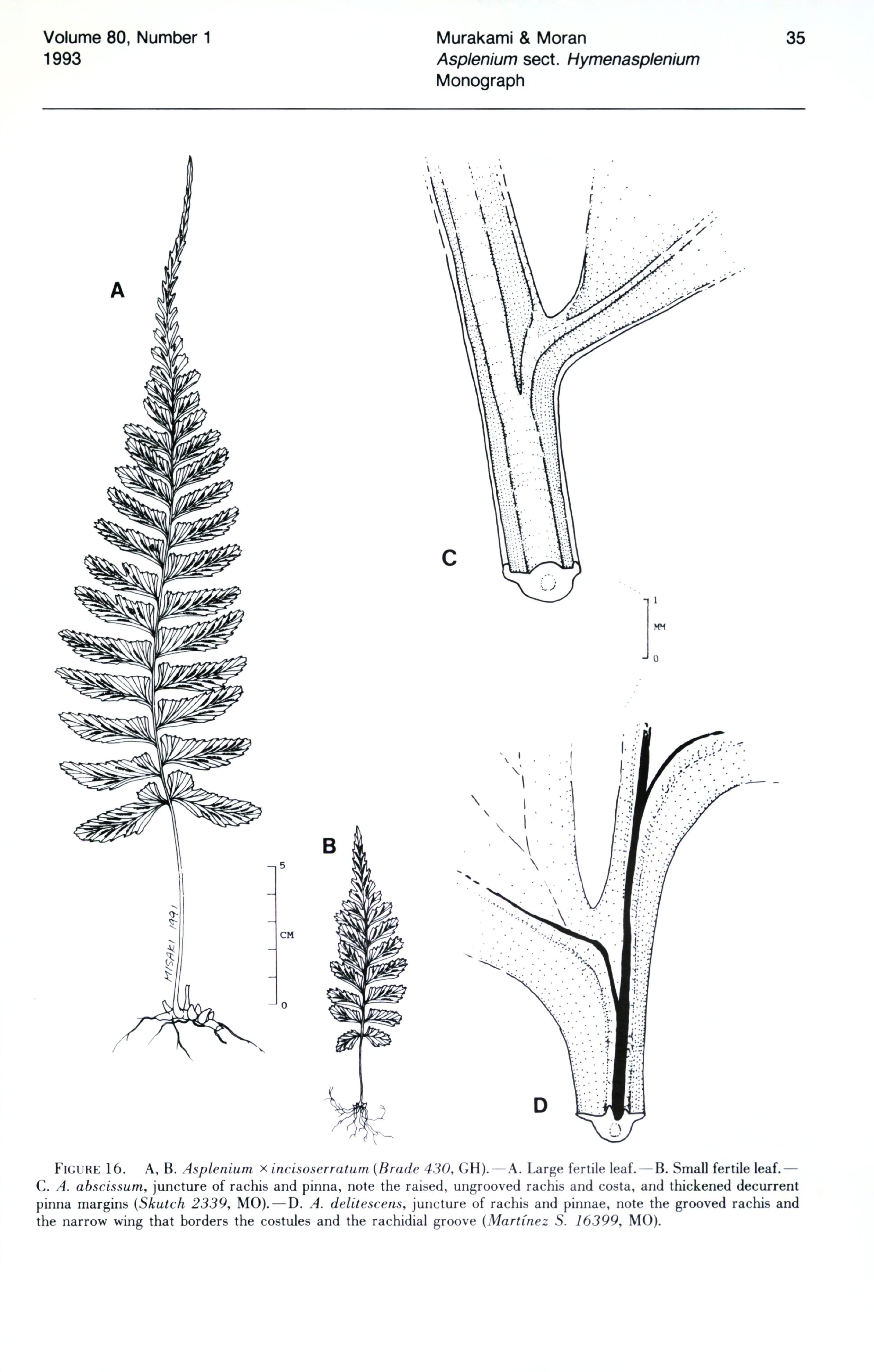 no full size  illustration available (3a)