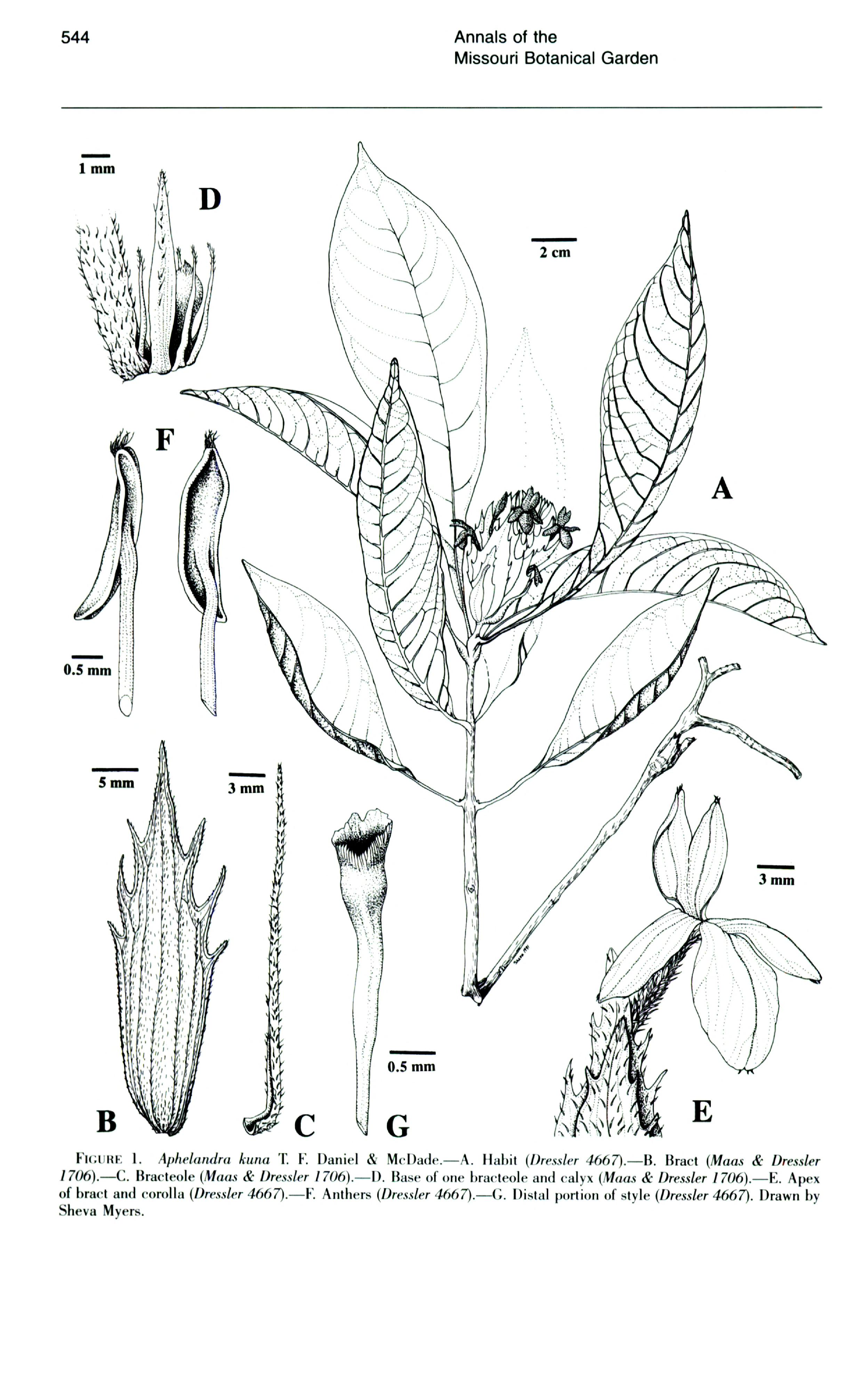 no full size  illustration available (3a)