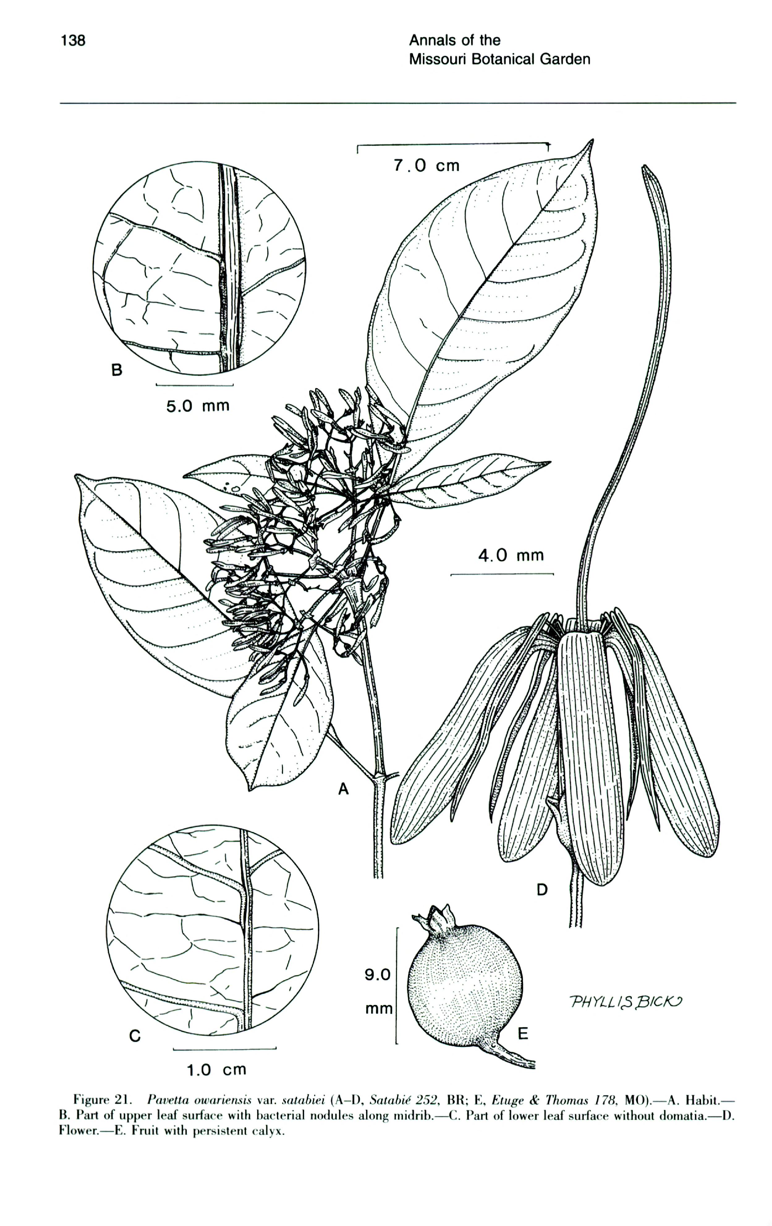 no full size  illustration available (3a)