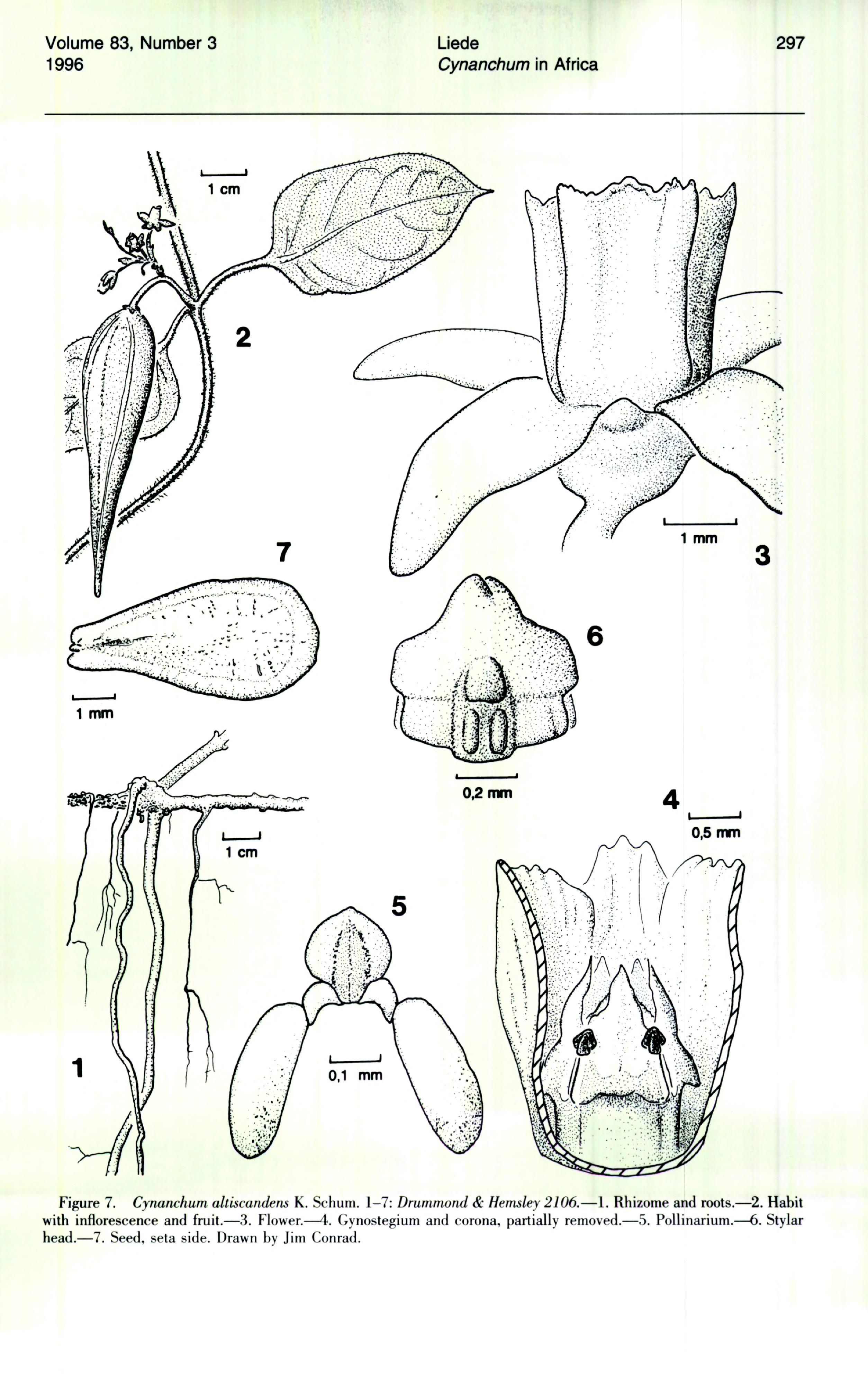 no full size  illustration available (3a)