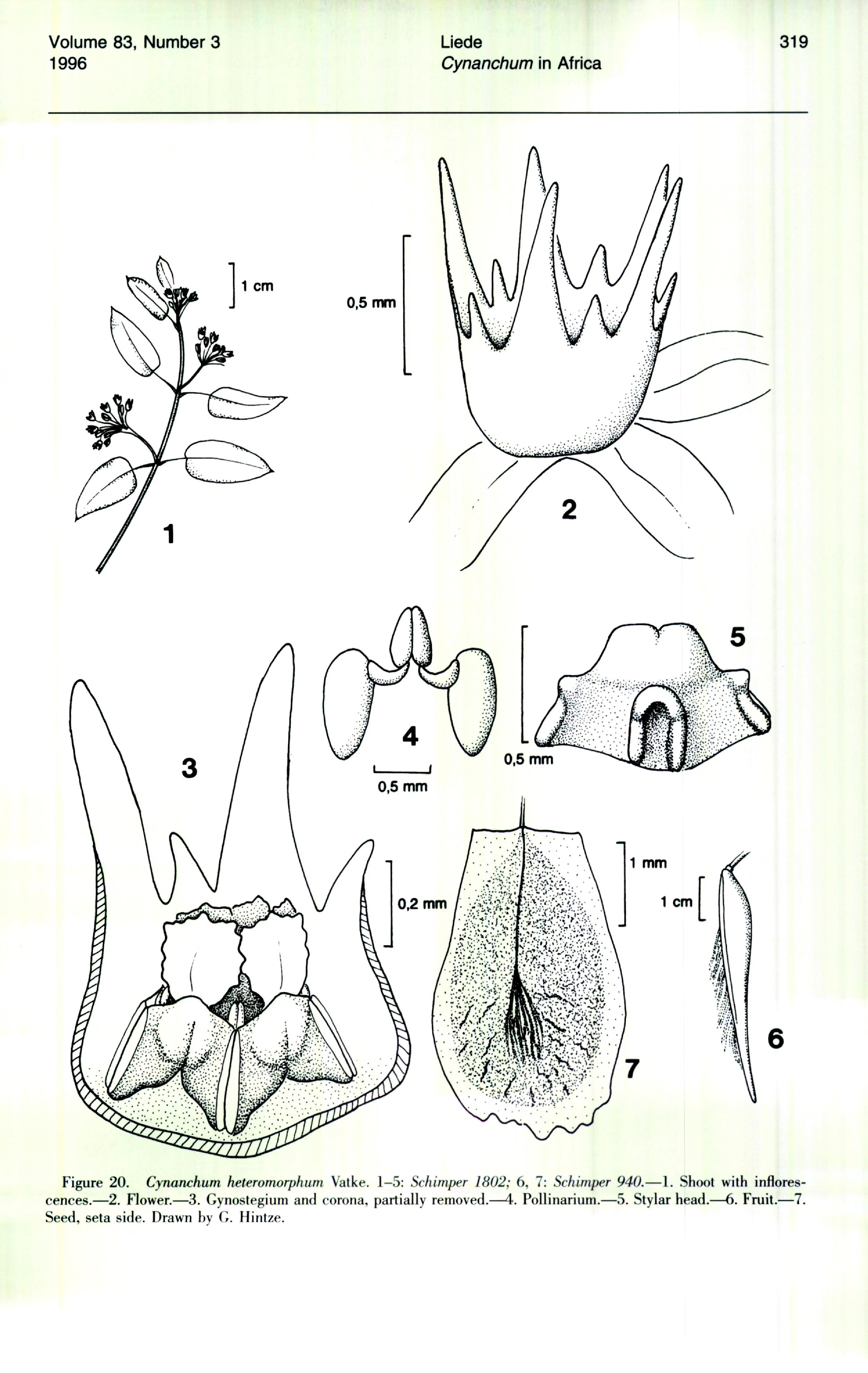 no full size  illustration available (3a)