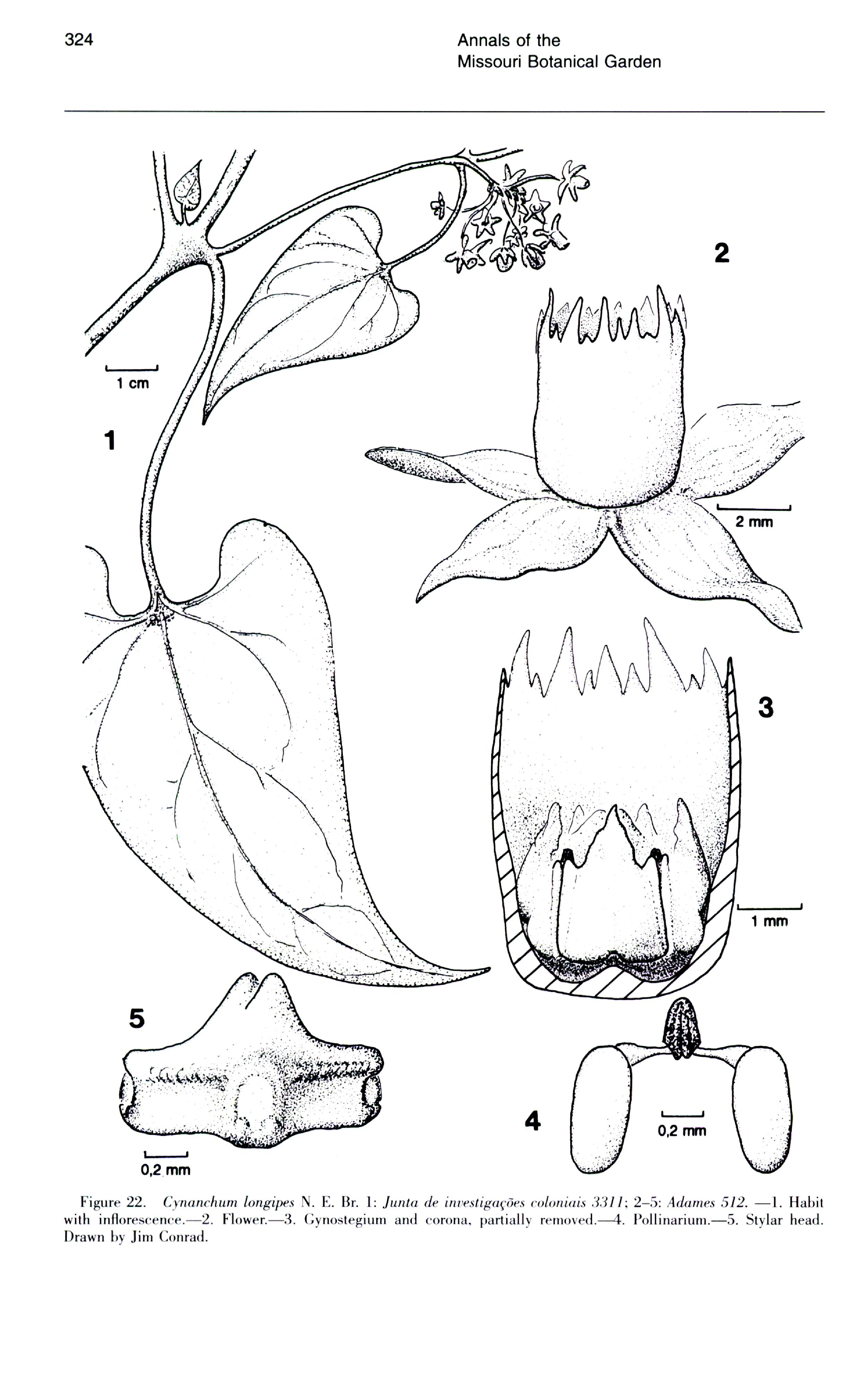 no full size  illustration available (3a)