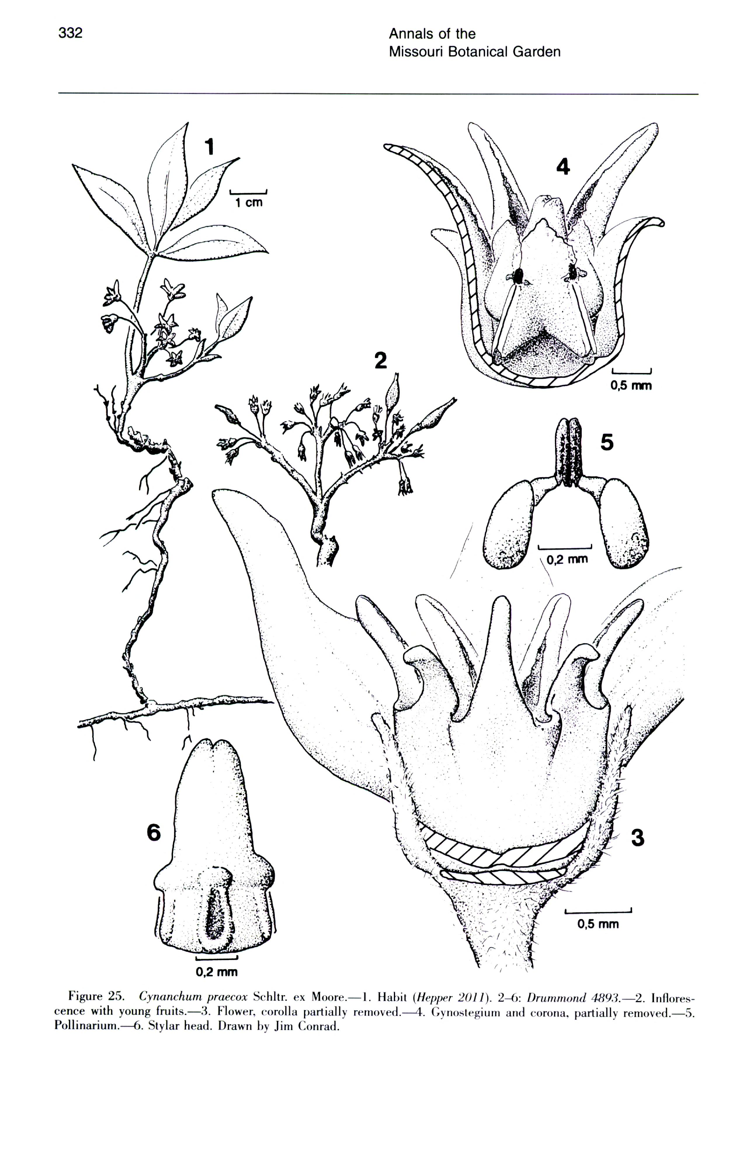 no full size  illustration available (3a)