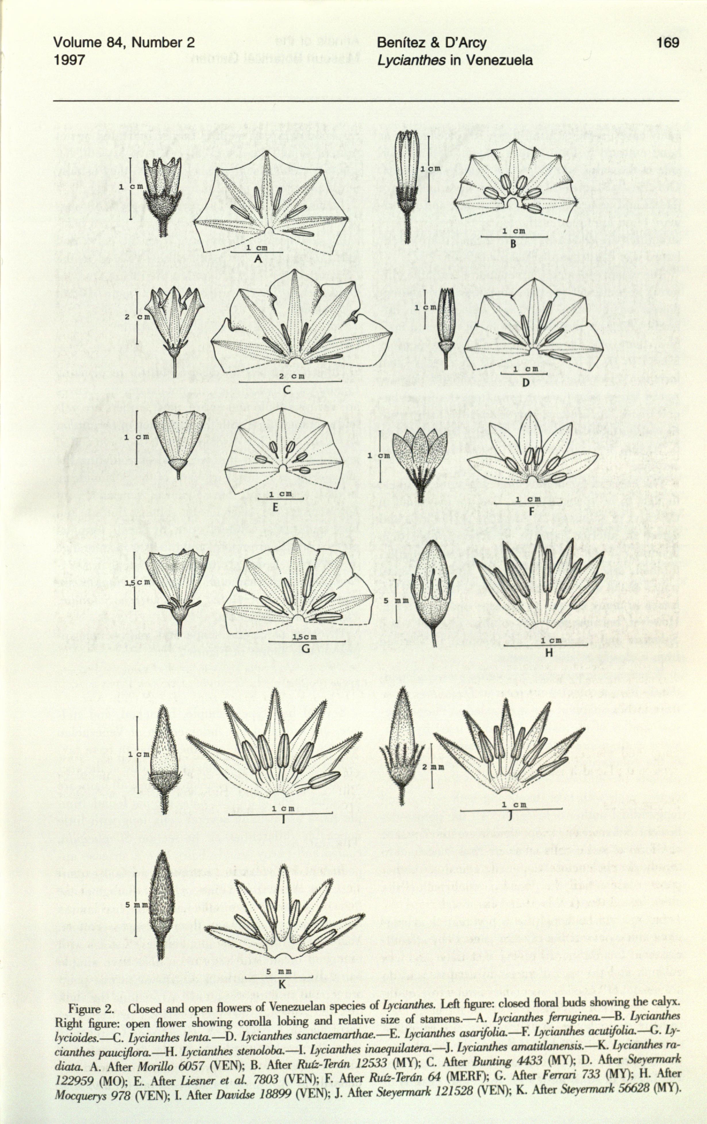 no full size  illustration available (3a)