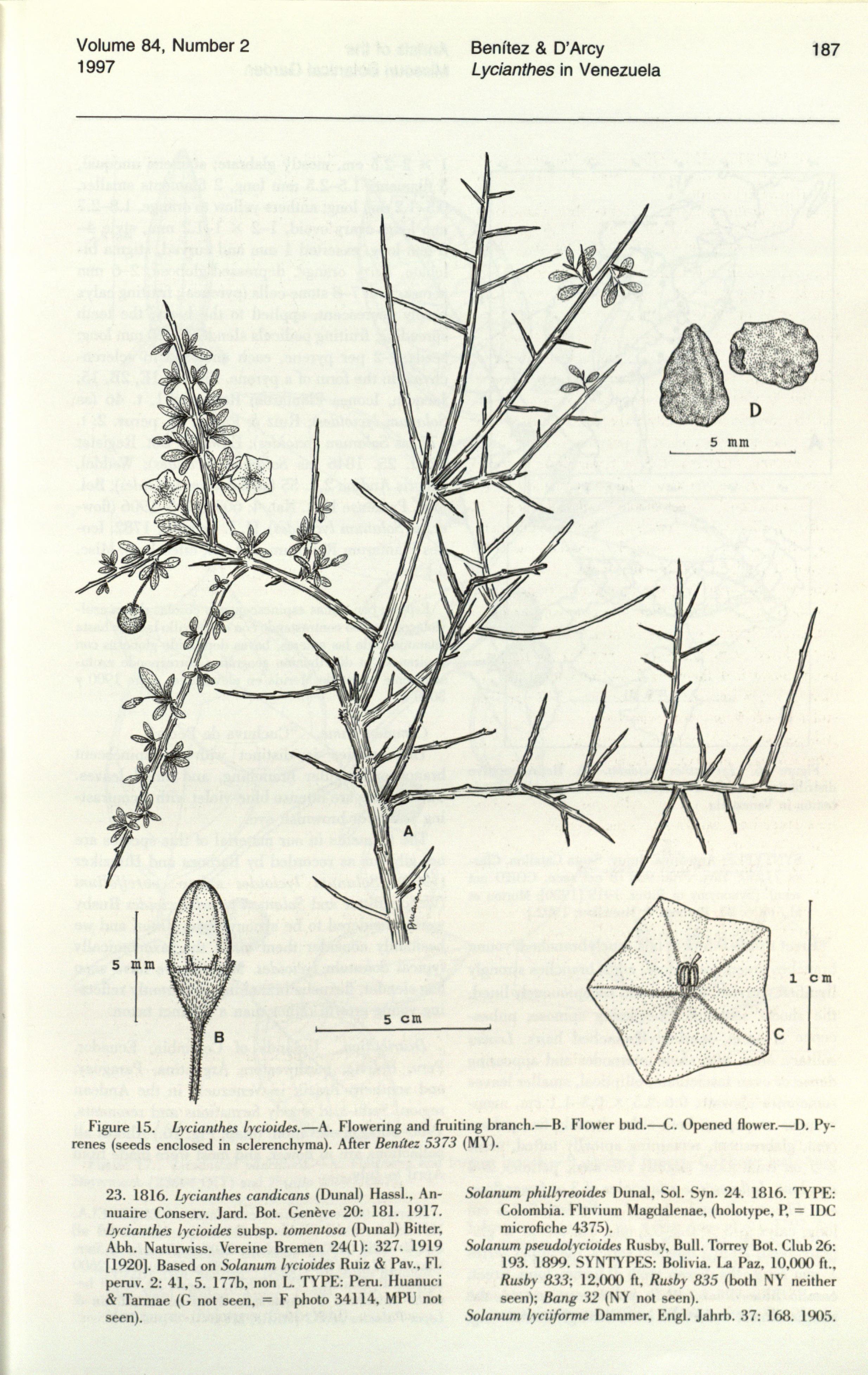 no full size  illustration available (3a)