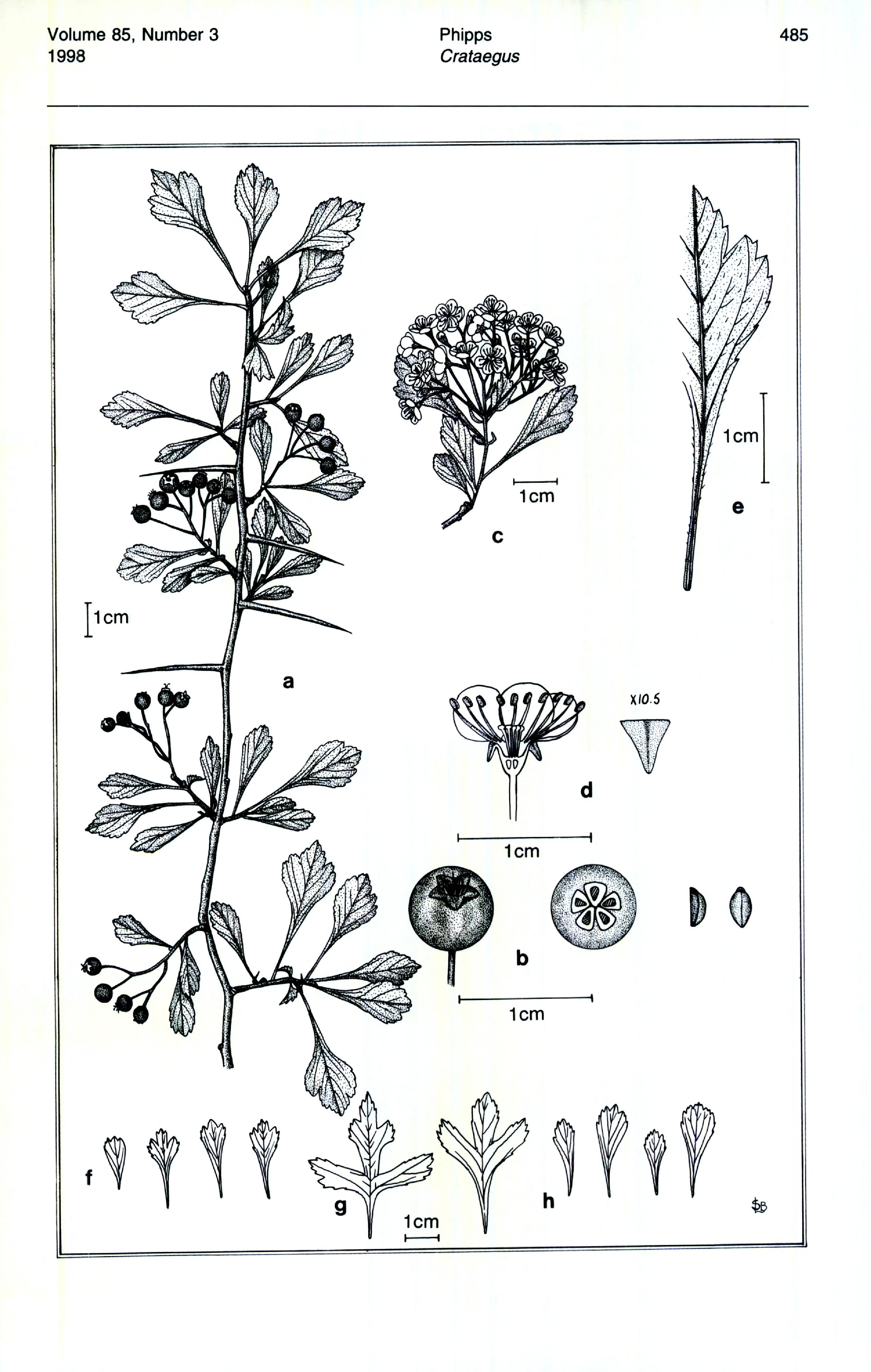 no full size  illustration available (3a)