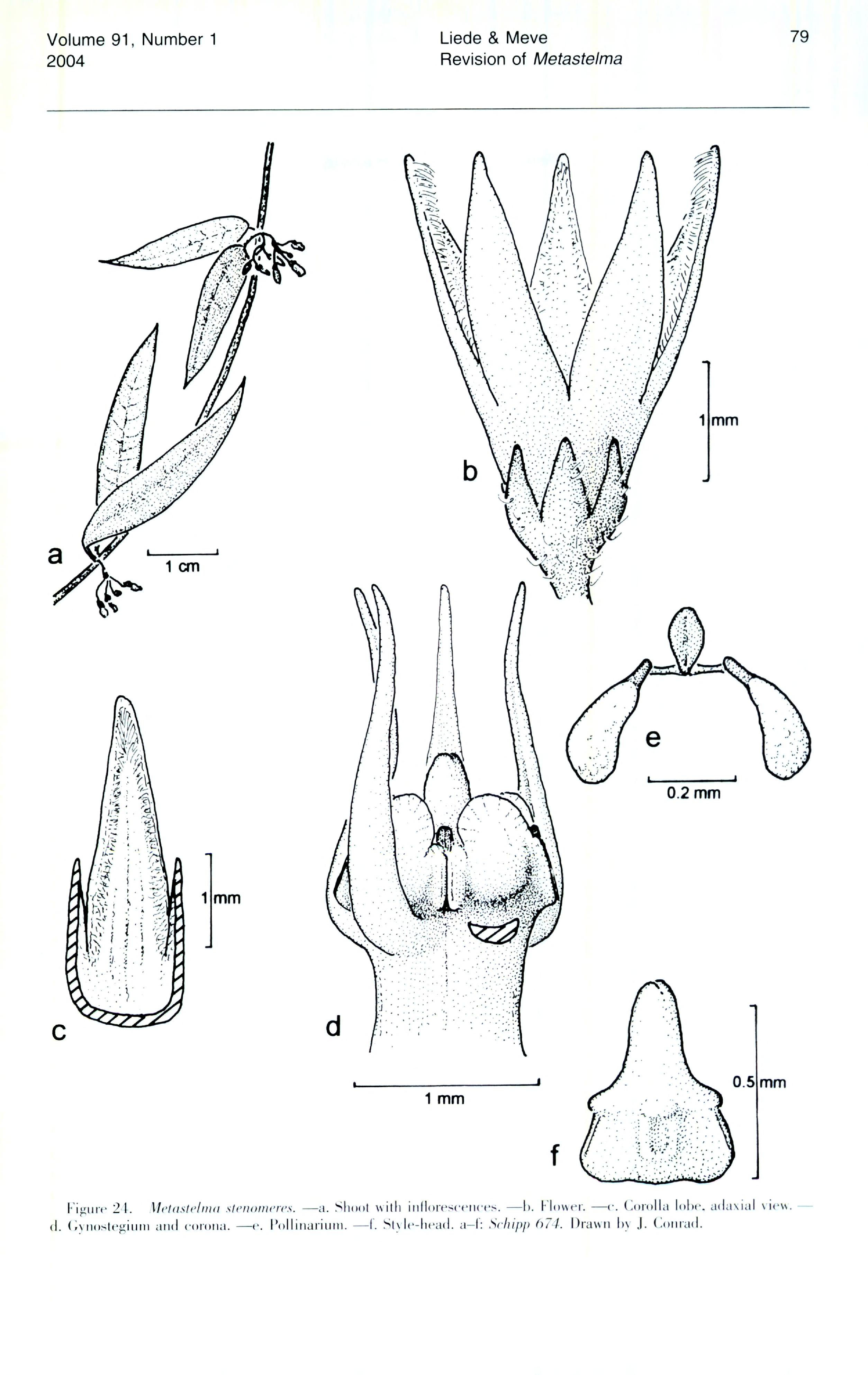 no full size  illustration available (3a)