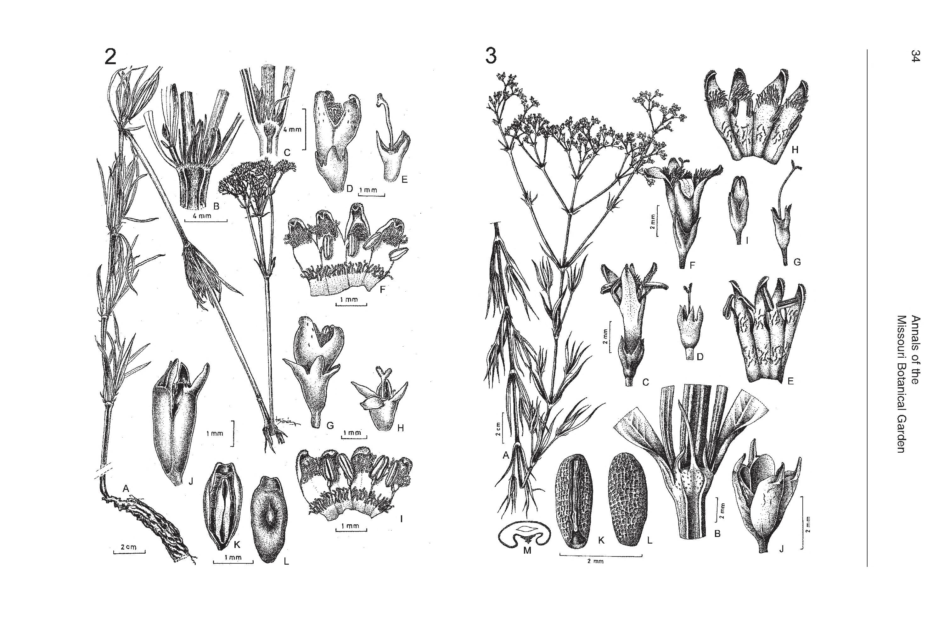 no full size  illustration available (3a)