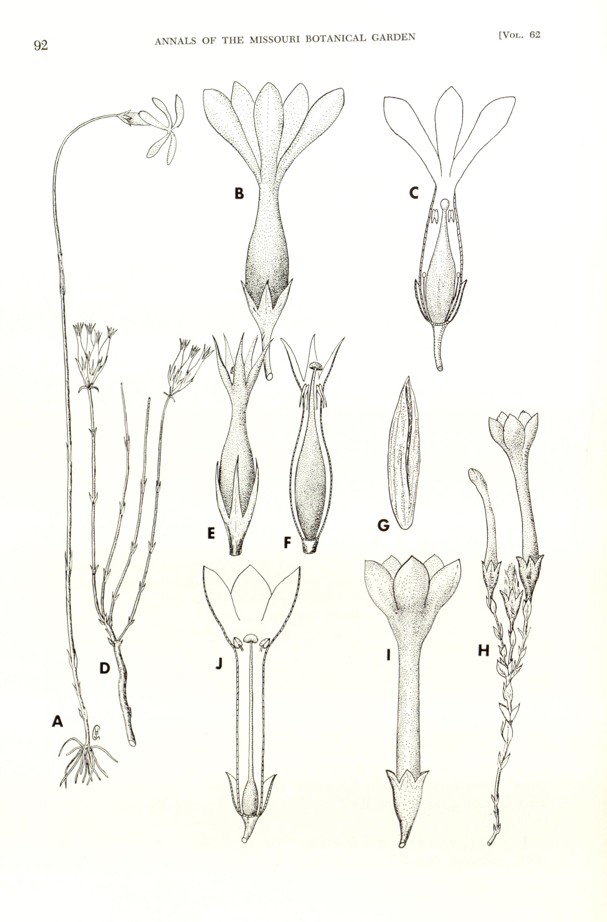 no full size  illustration available (3a)