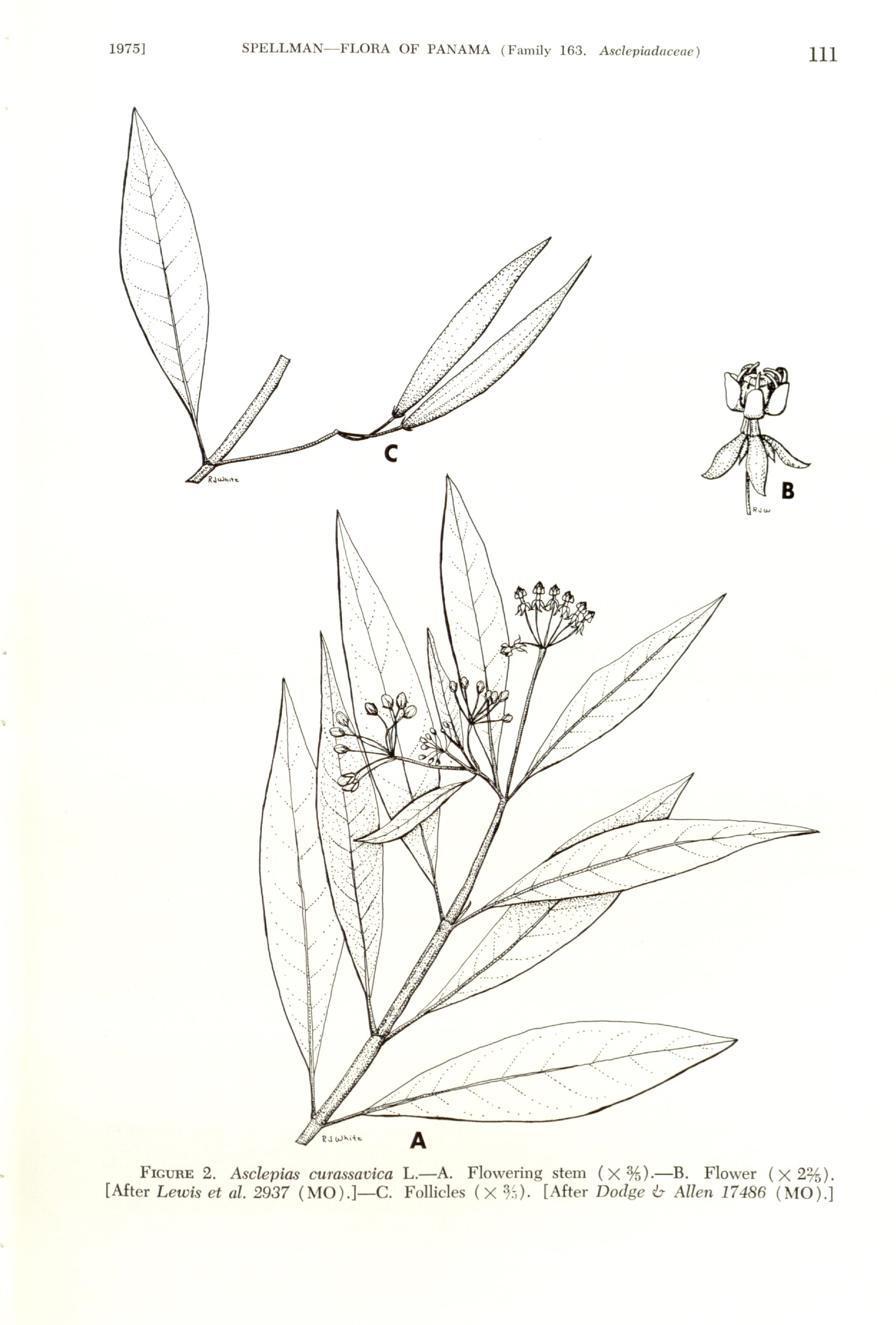 no full size  illustration available (3a)