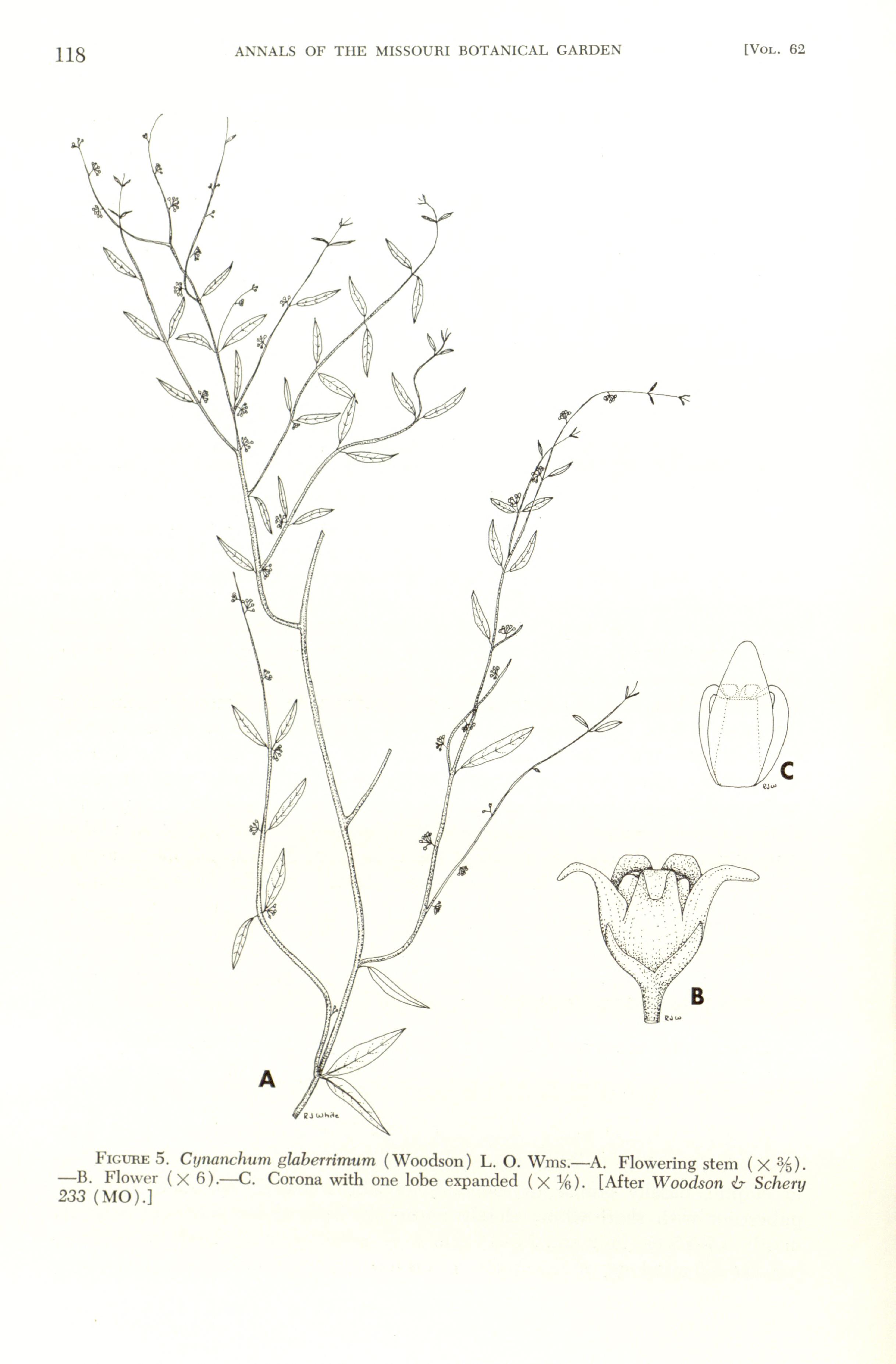 no full size  illustration available (3a)