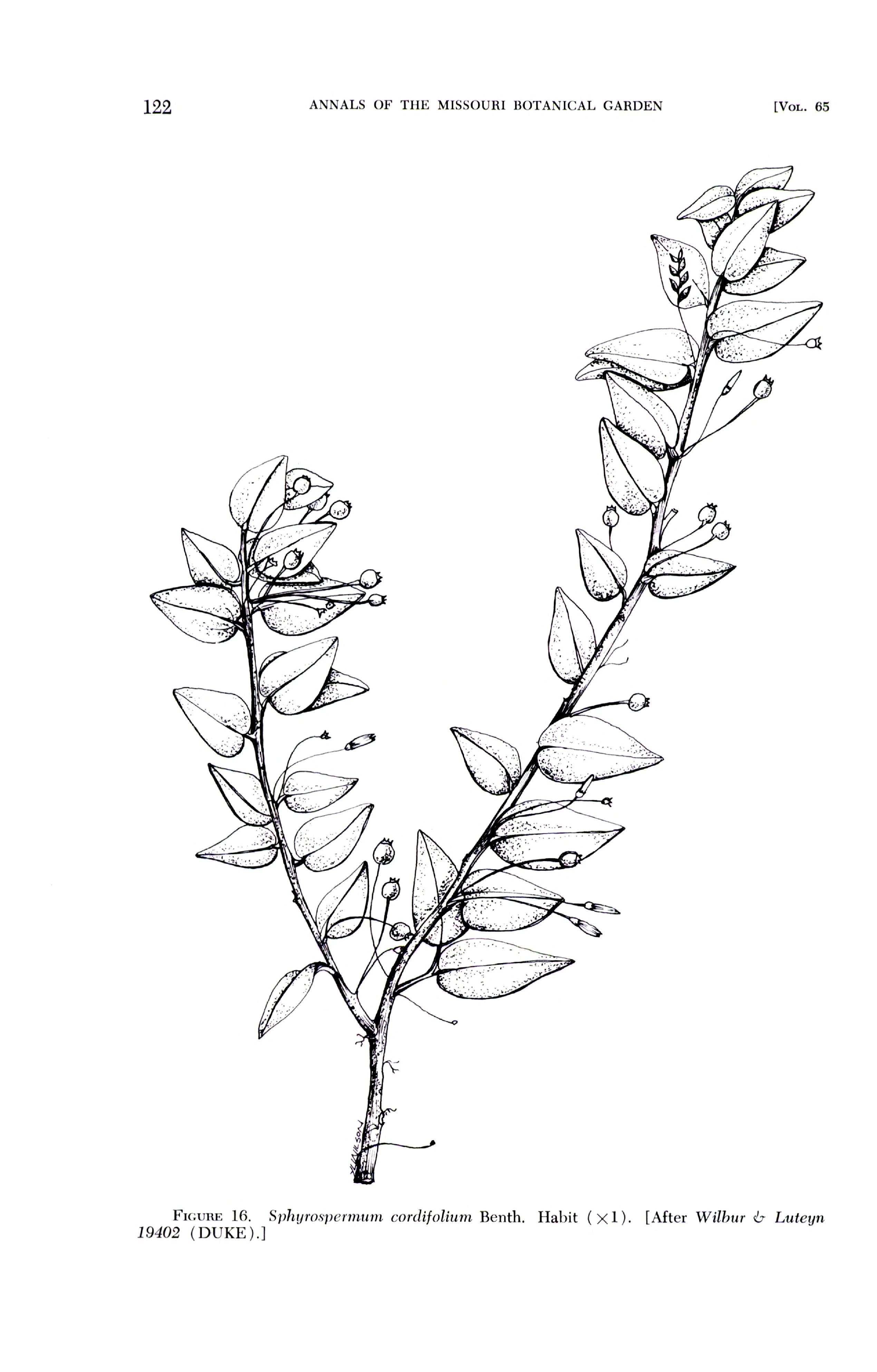 no full size  illustration available (3a)