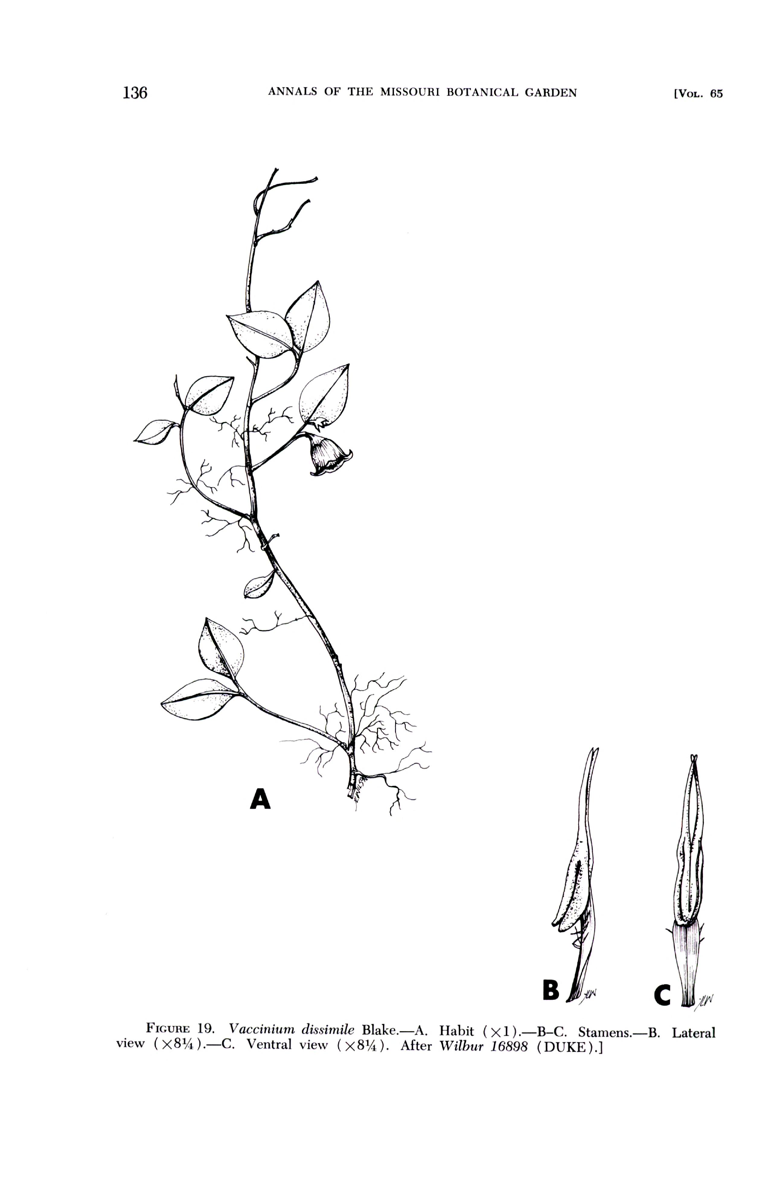 no full size  illustration available (3a)