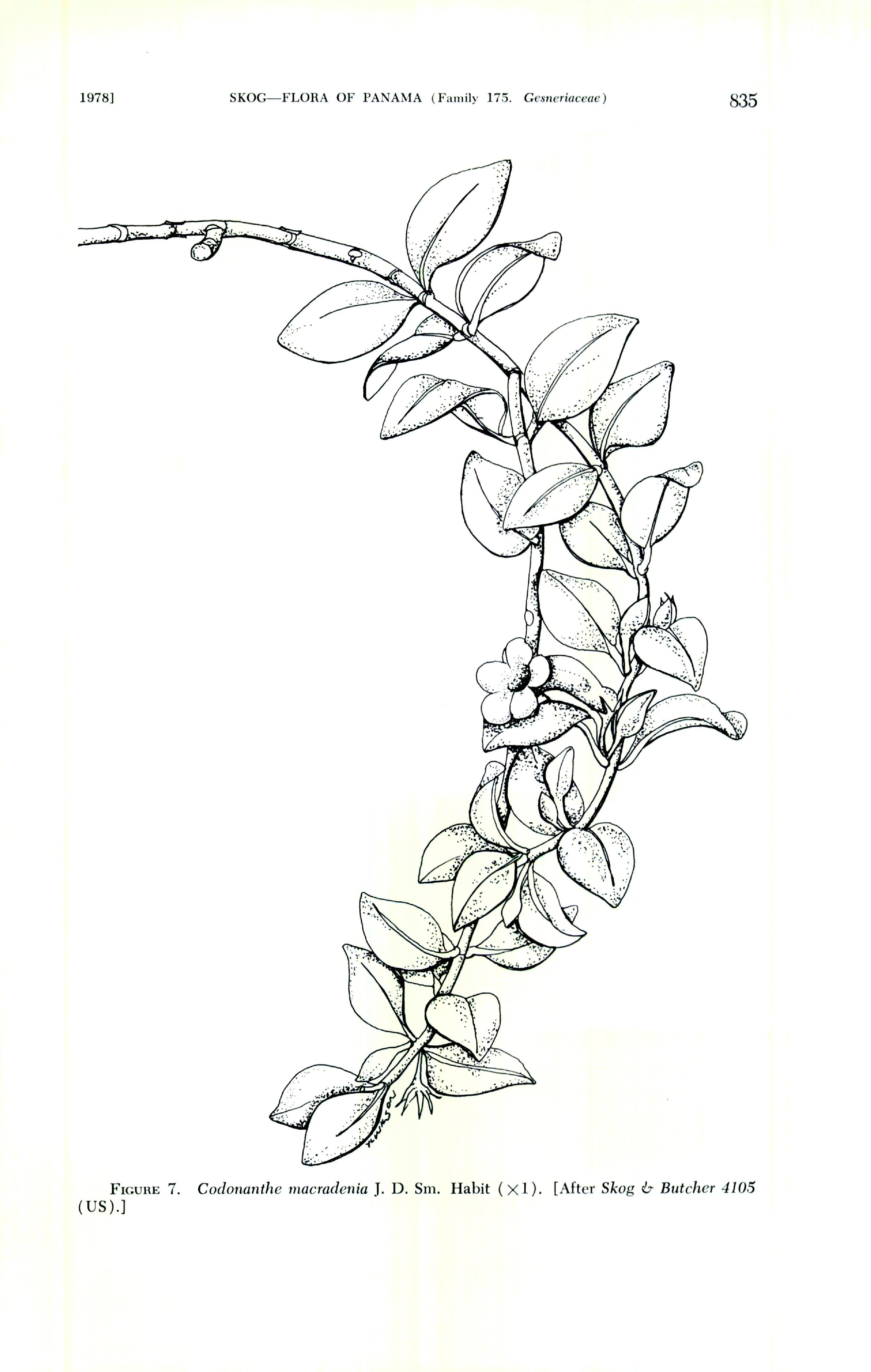 no full size  illustration available (3a)