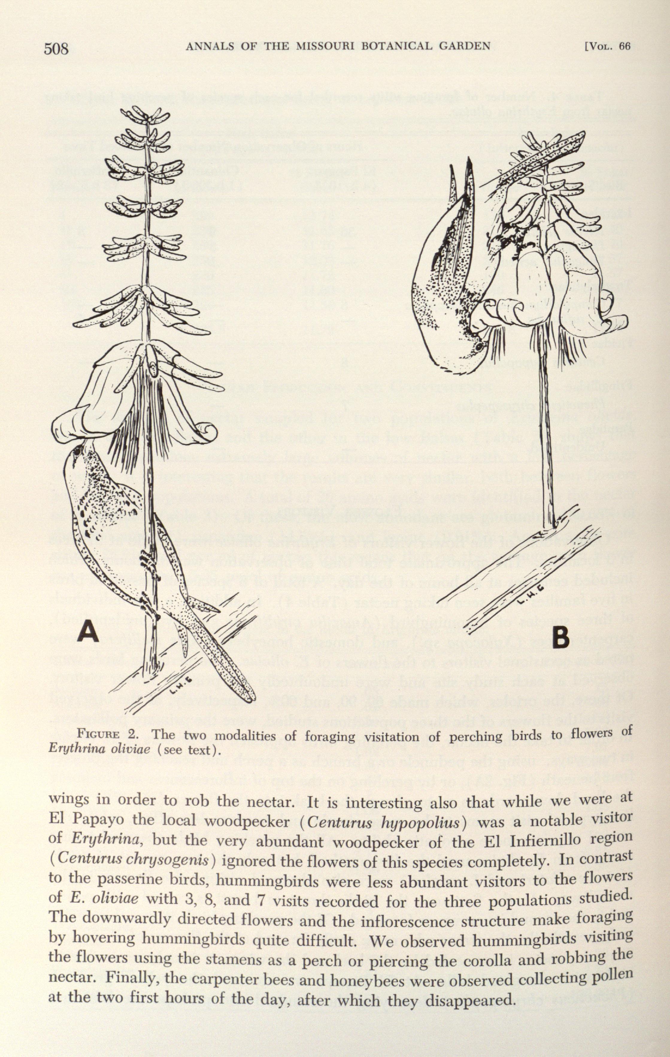 no full size  illustration available (3a)