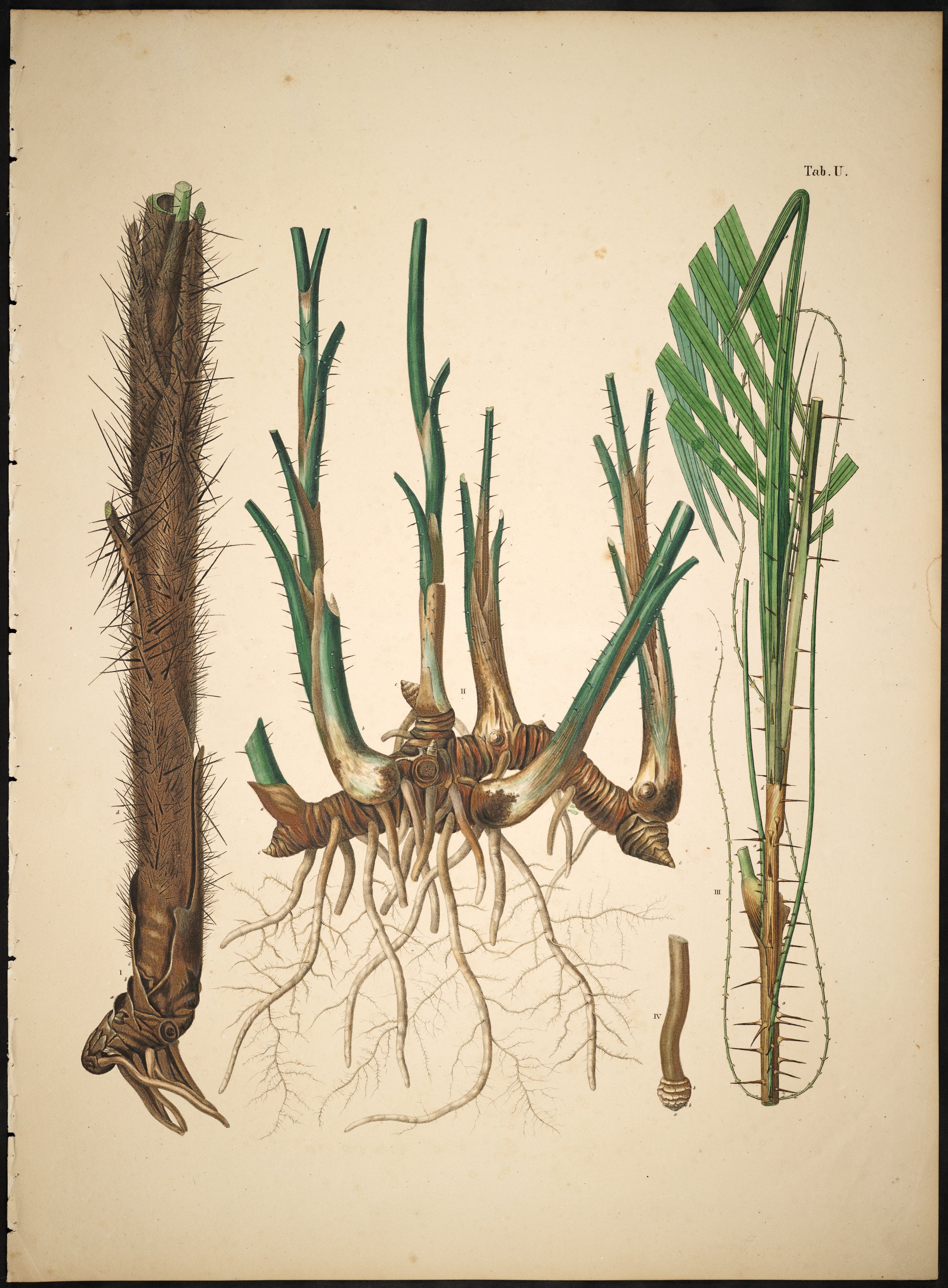 no full size  illustration available (3a)