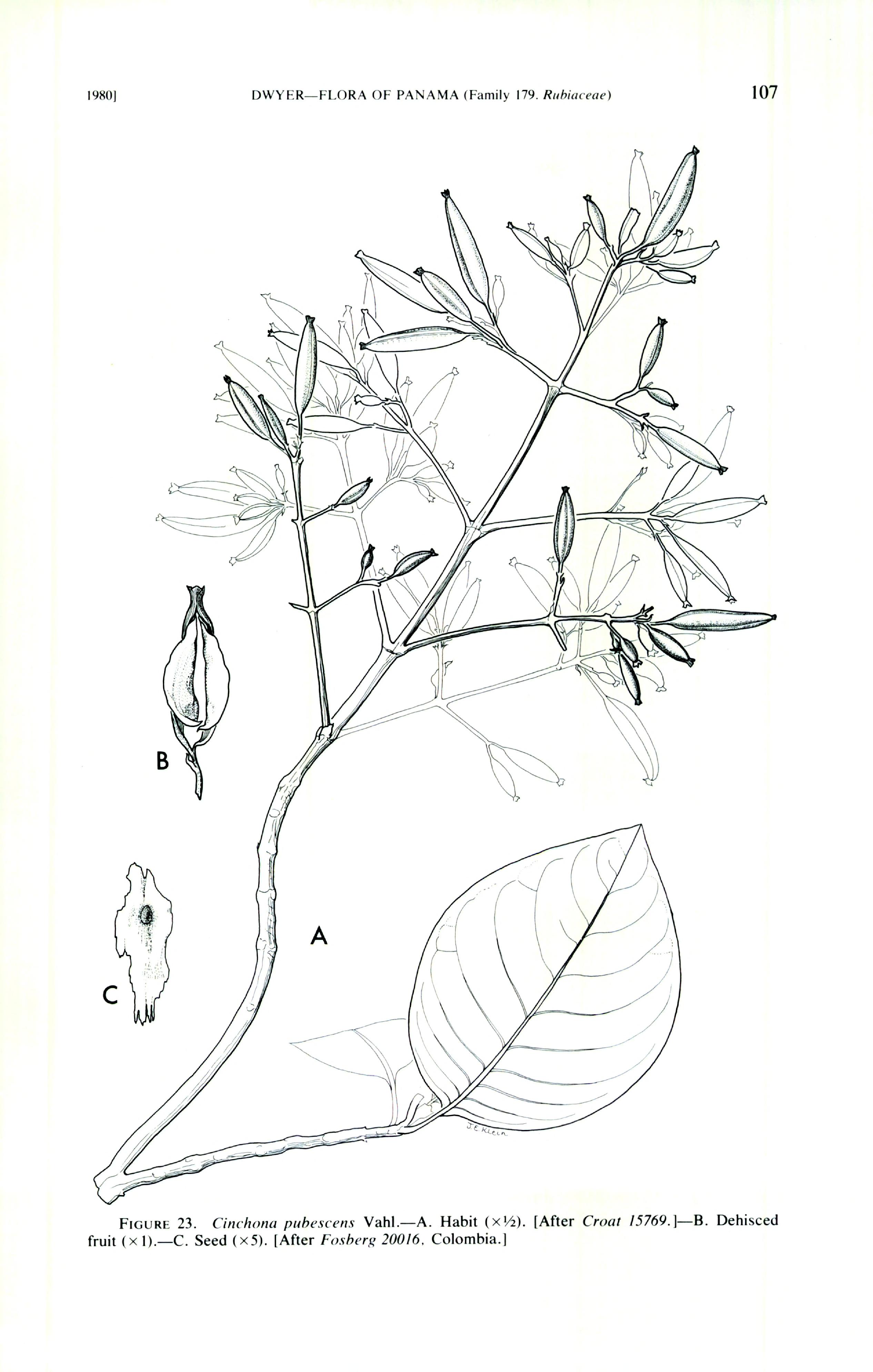 no full size  illustration available (3a)