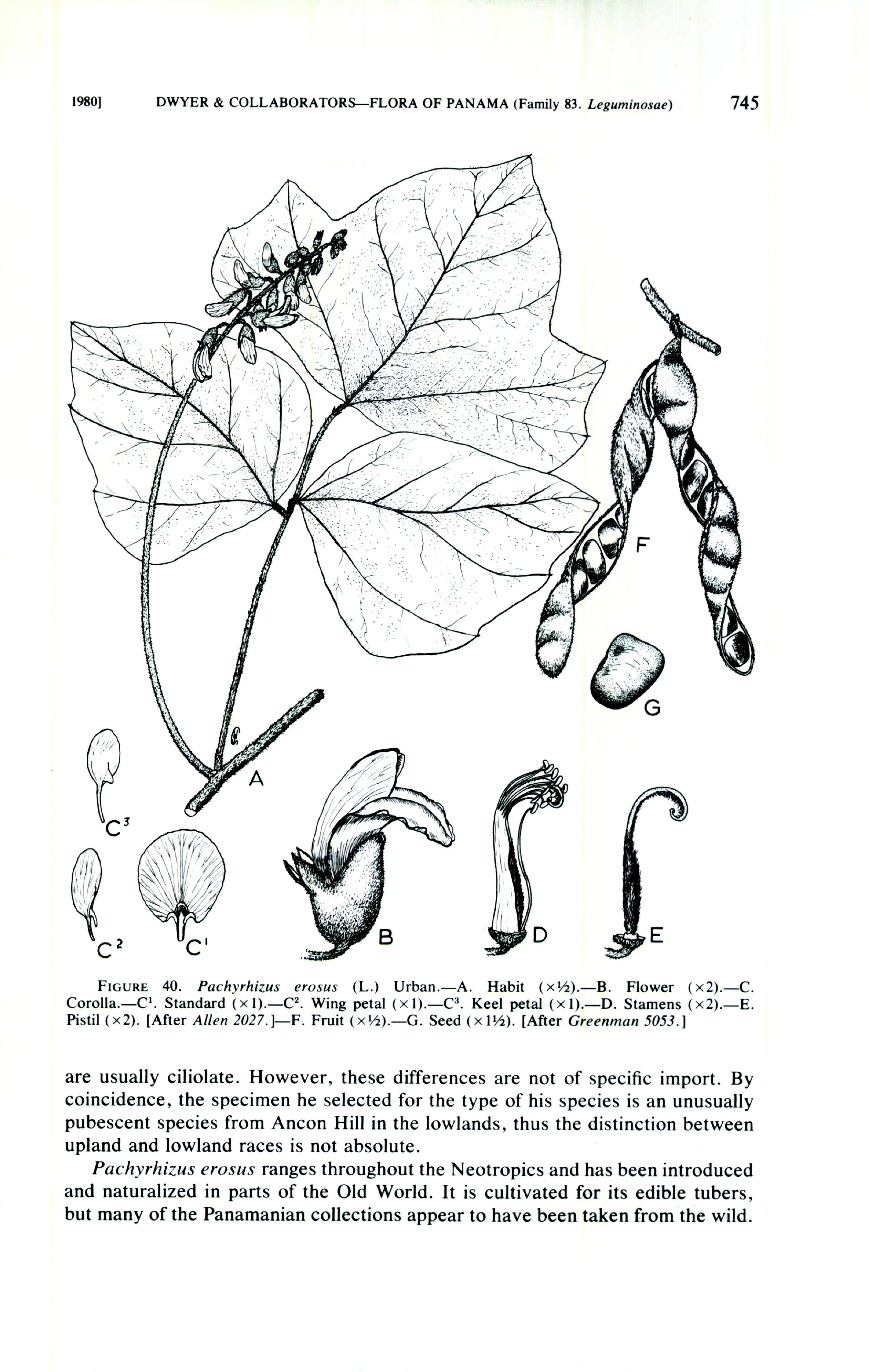 no full size  illustration available (3a)