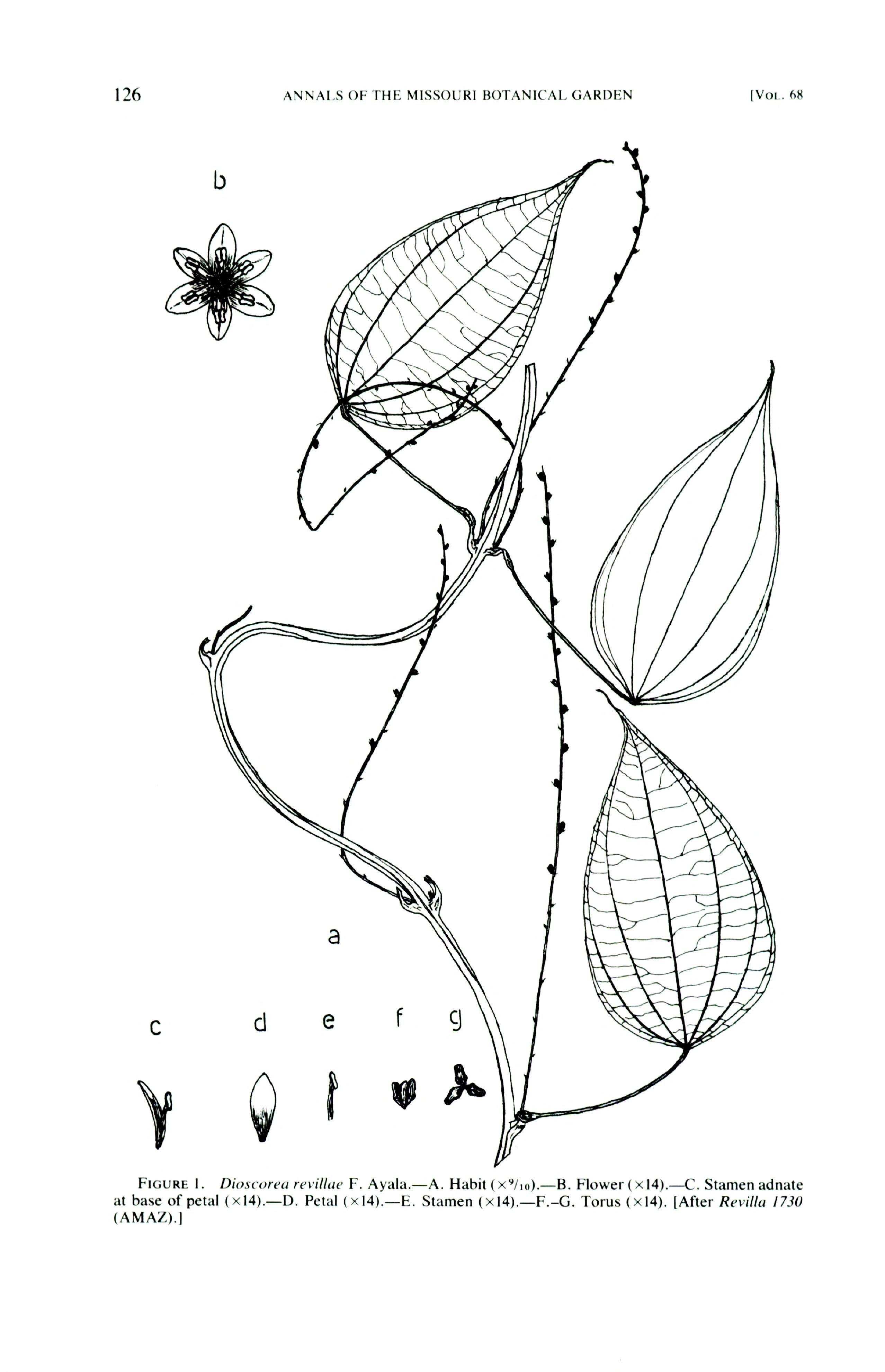 no full size  illustration available (3a)