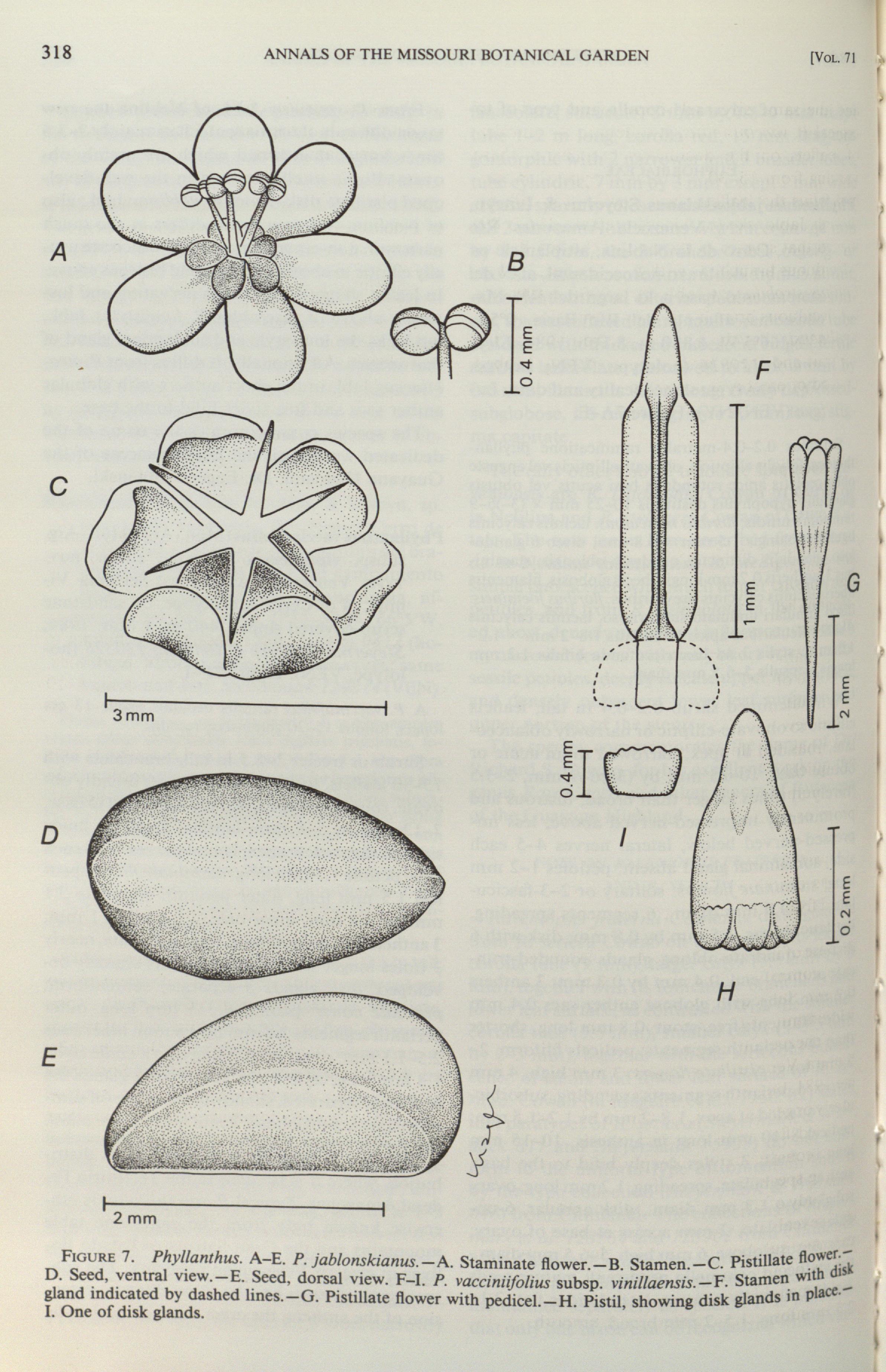 no full size  illustration available (3a)