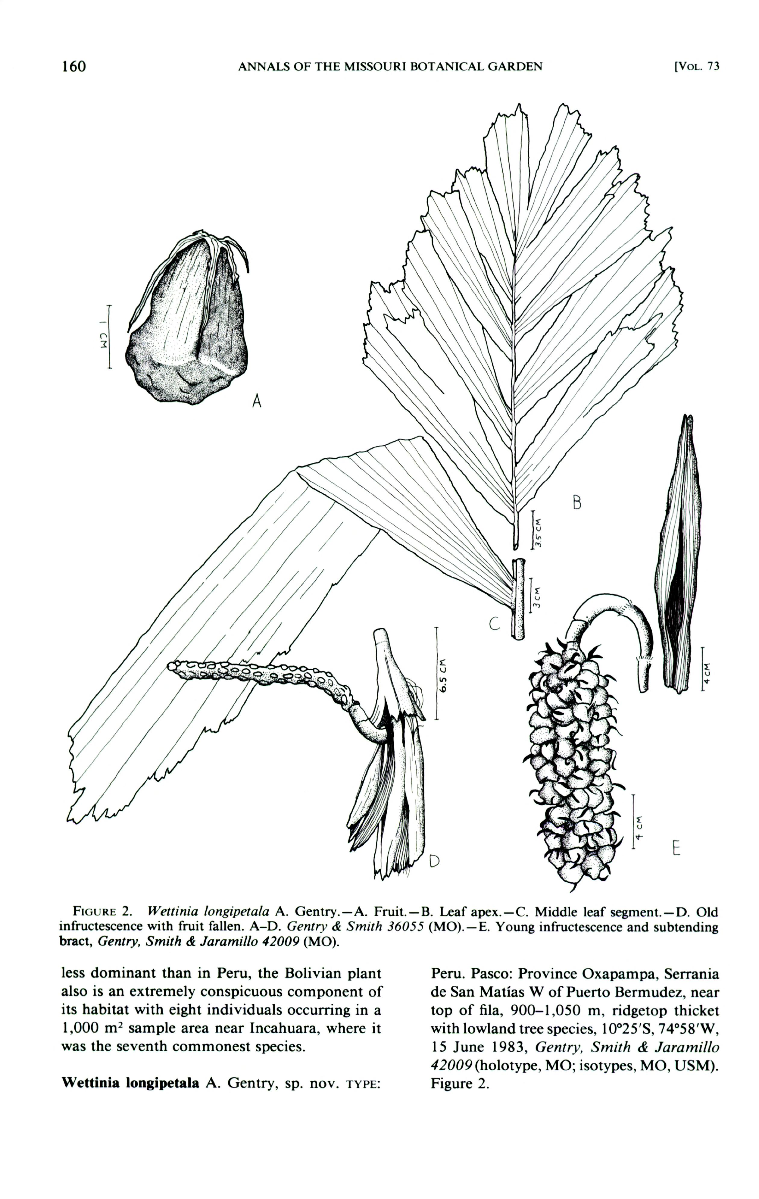 no full size  illustration available (3a)