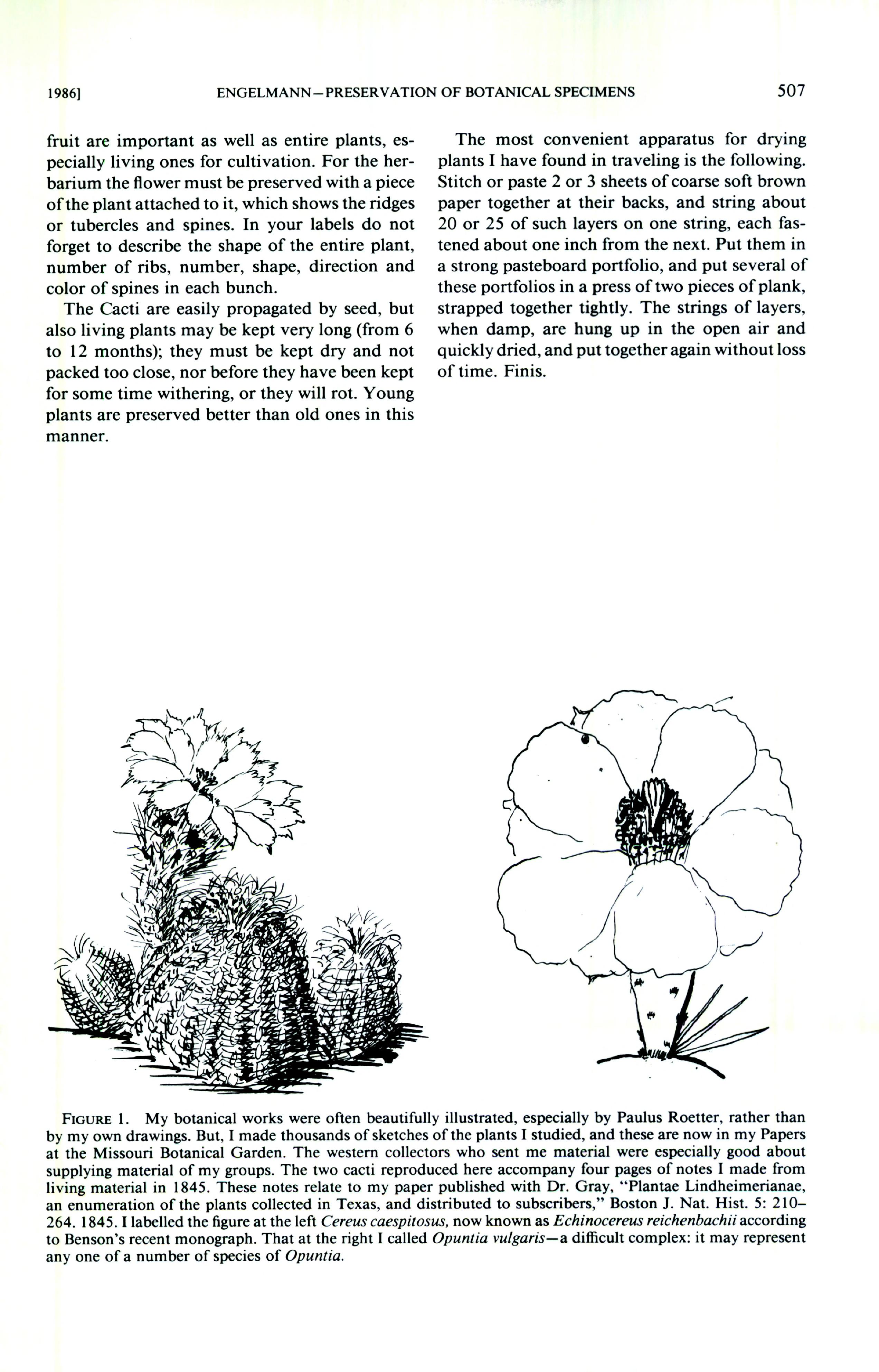 no full size  illustration available (3a)