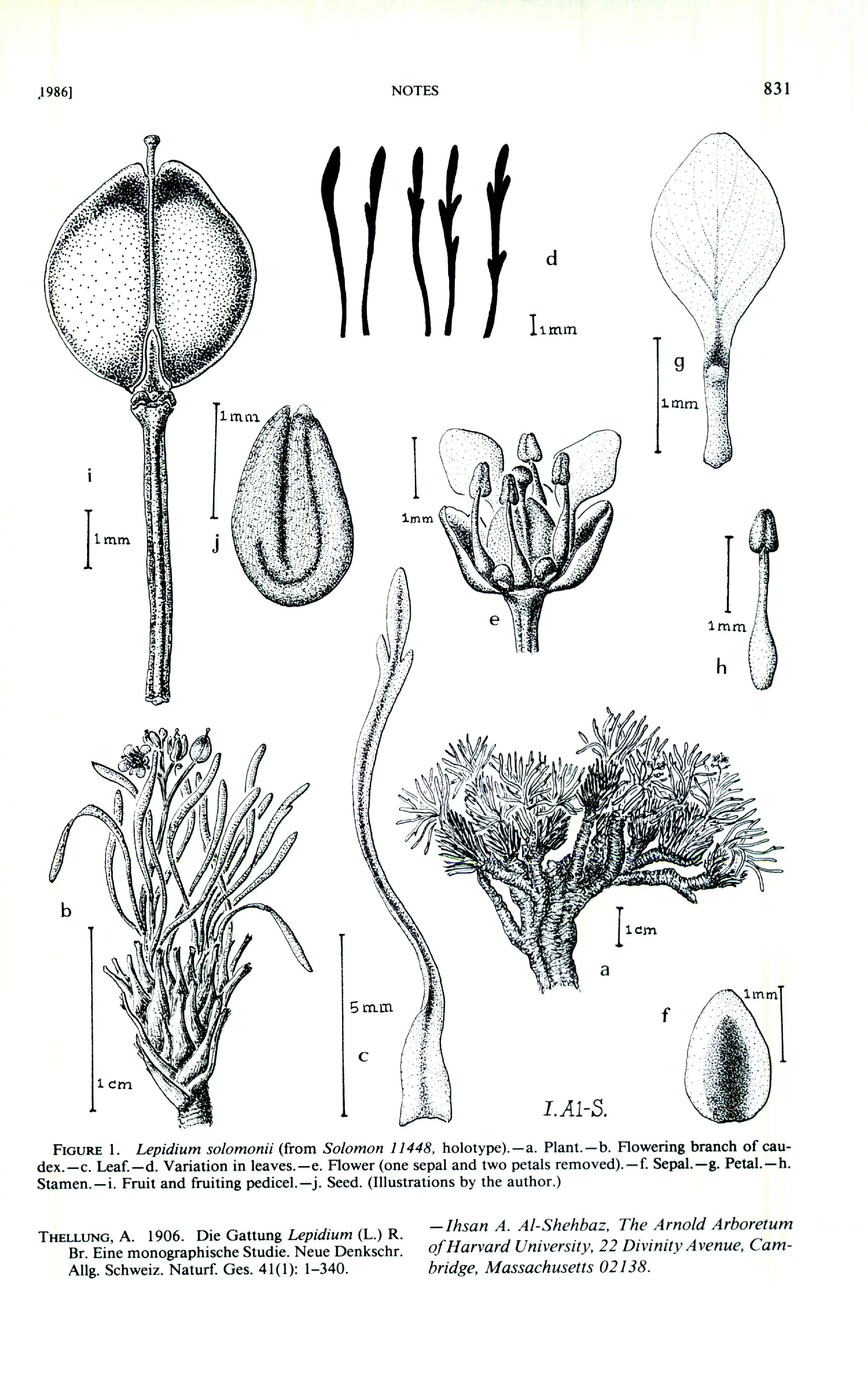 no full size  illustration available (3a)