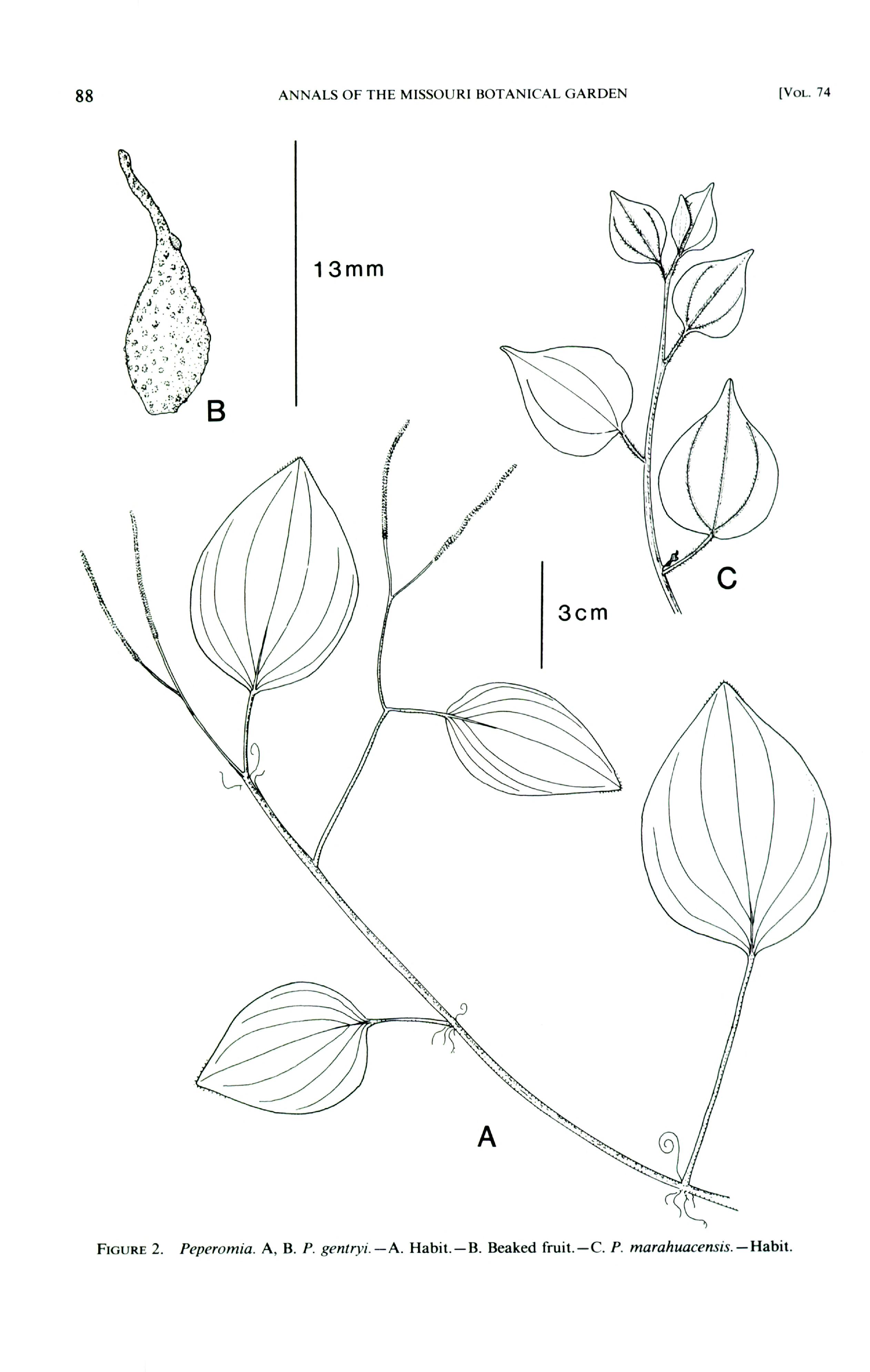 no full size  illustration available (3a)