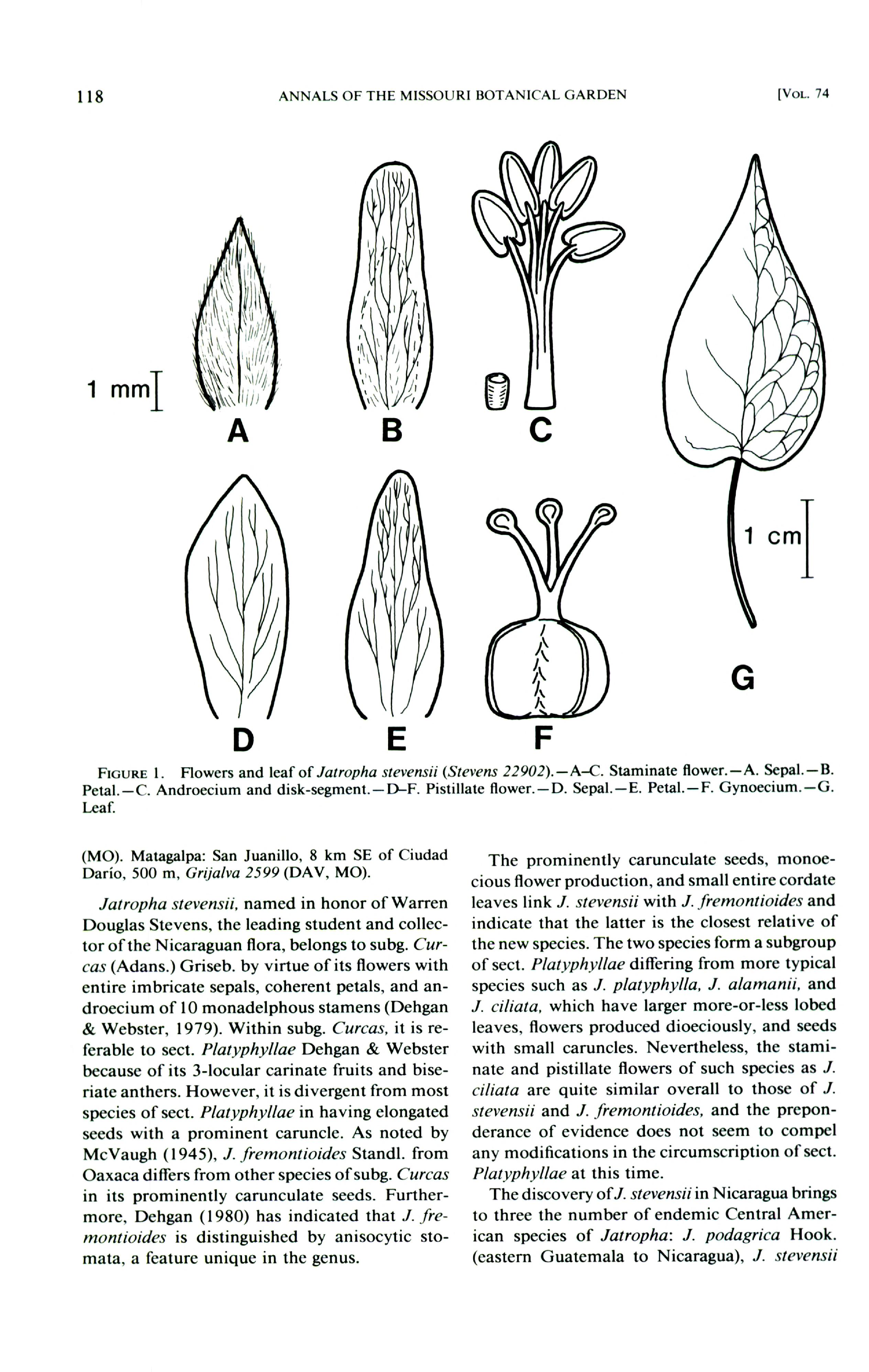 no full size  illustration available (3a)