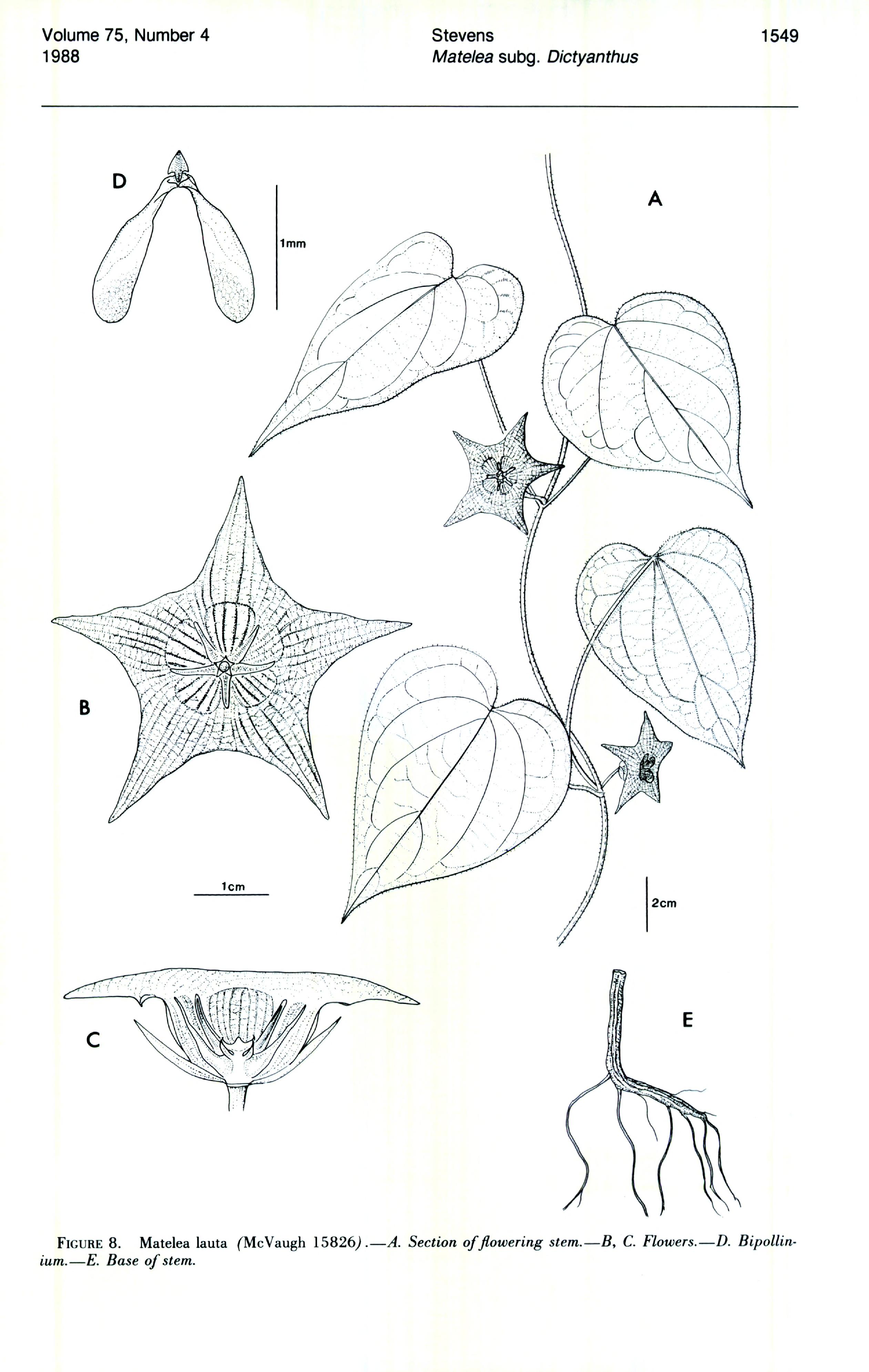 no full size  illustration available (3a)