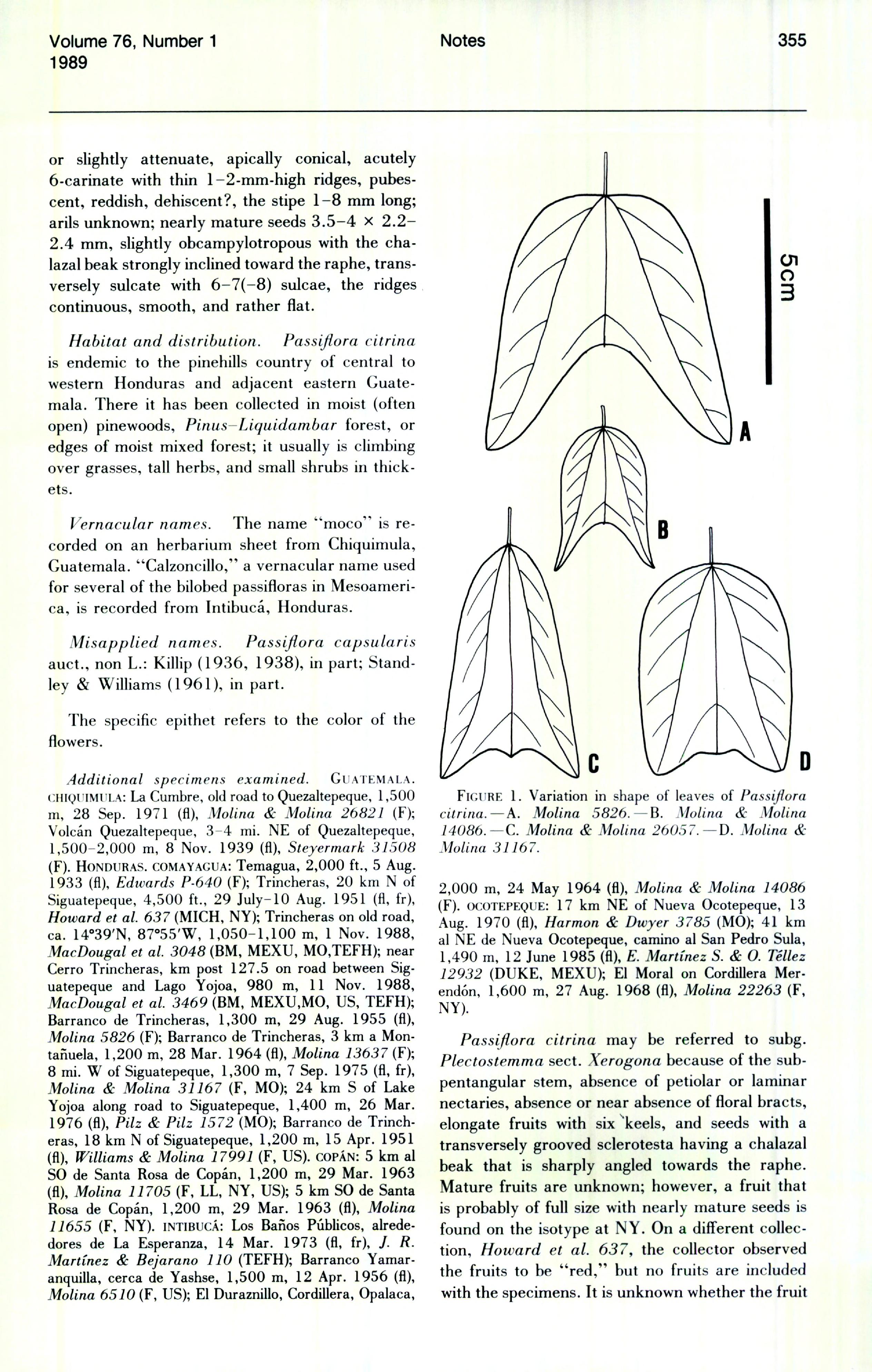 no full size  illustration available (3a)