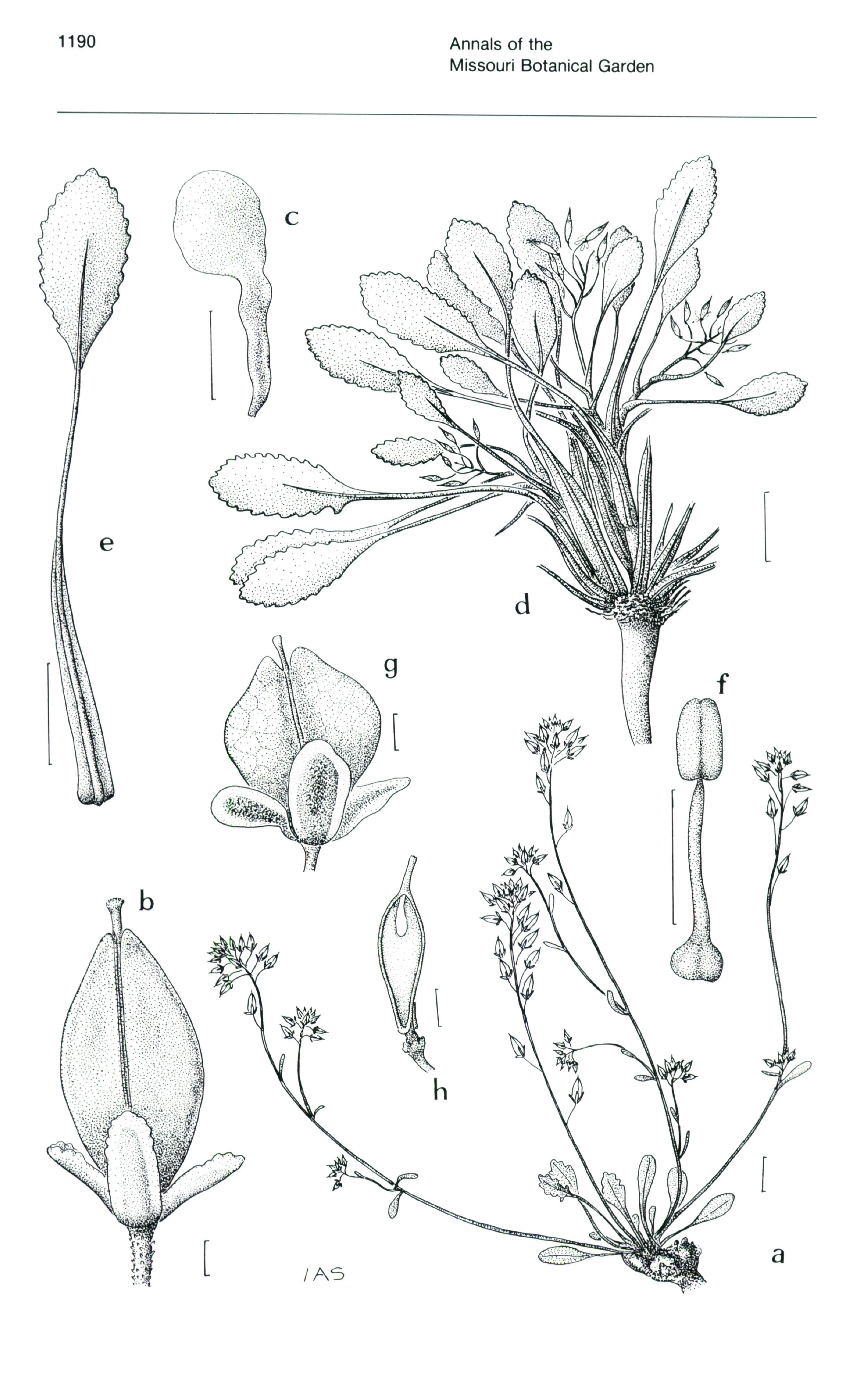 no full size  illustration available (3a)