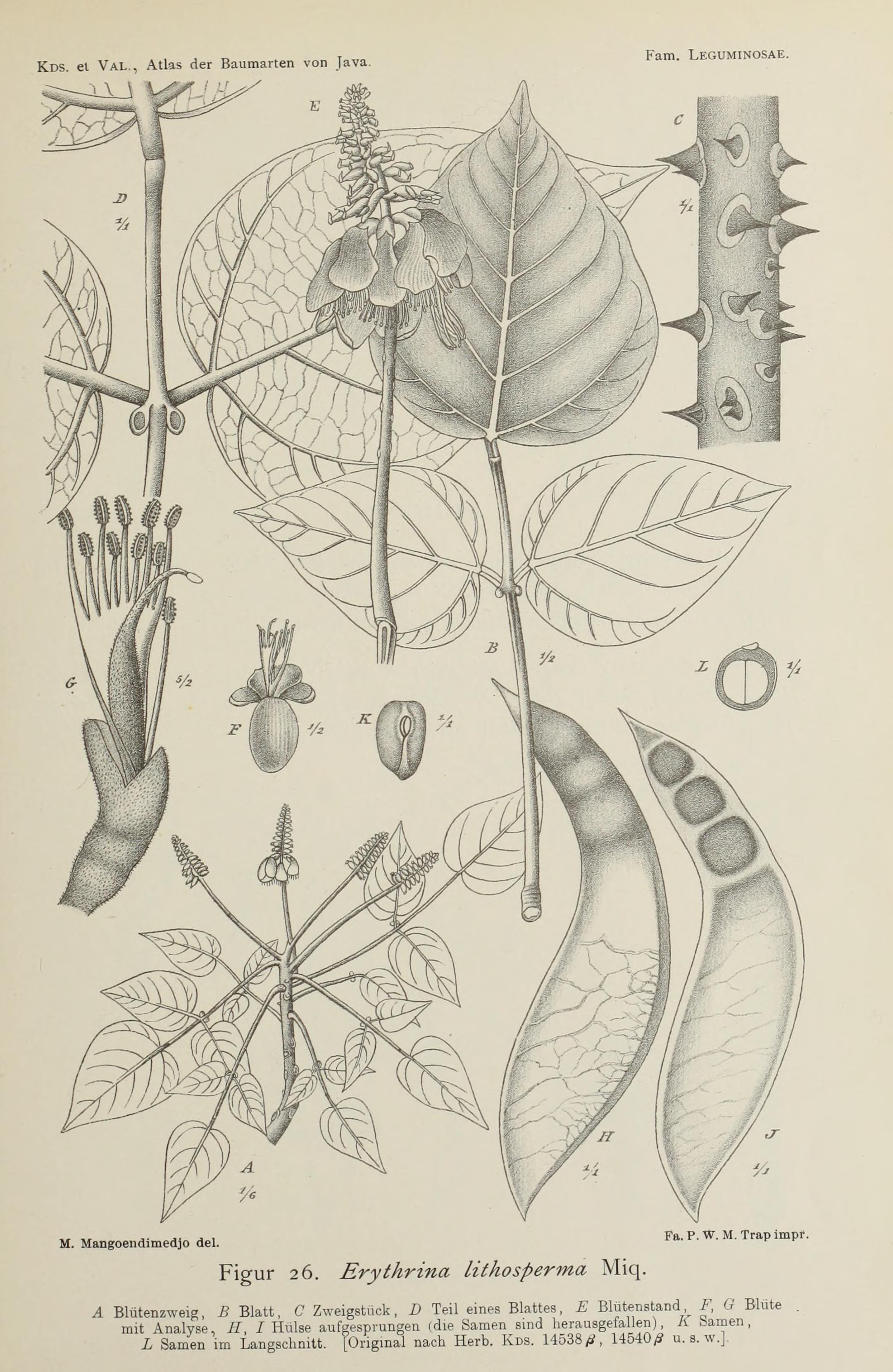 no full size  illustration available (3a)