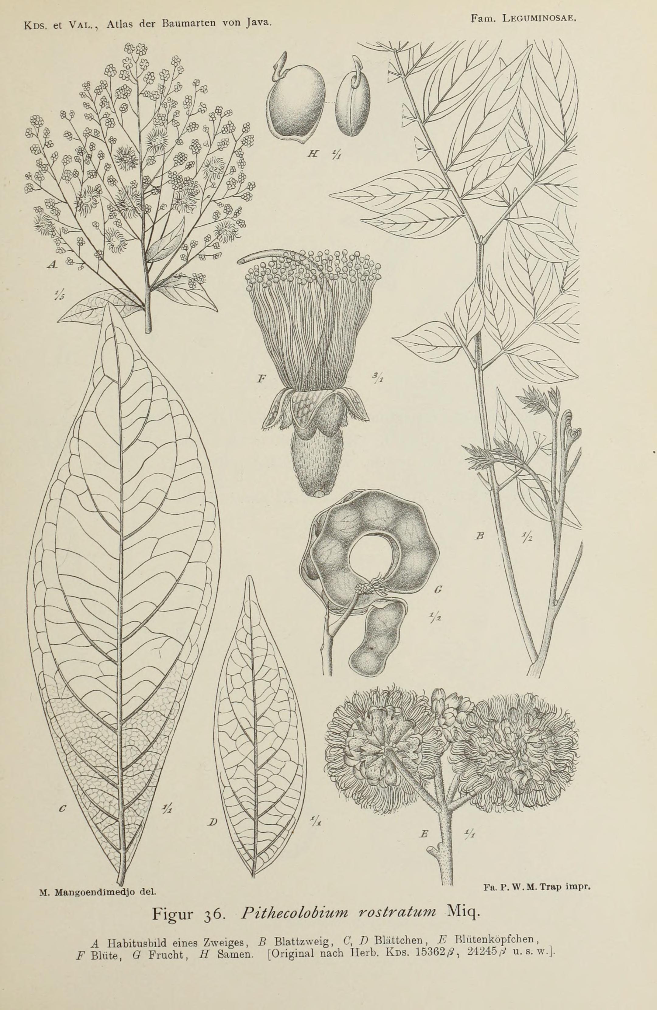 no full size  illustration available (3a)