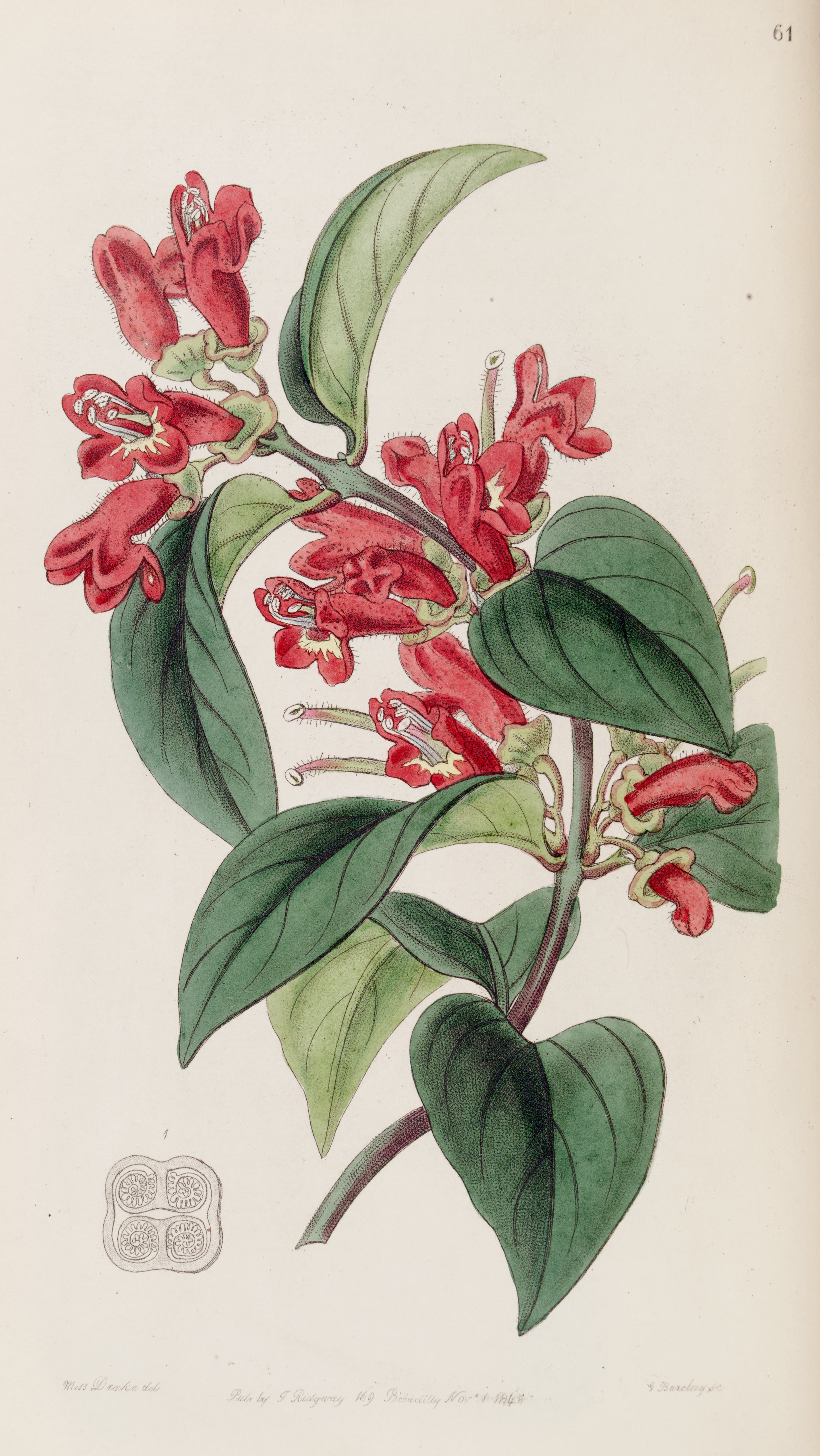 no full size  illustration available (3a)