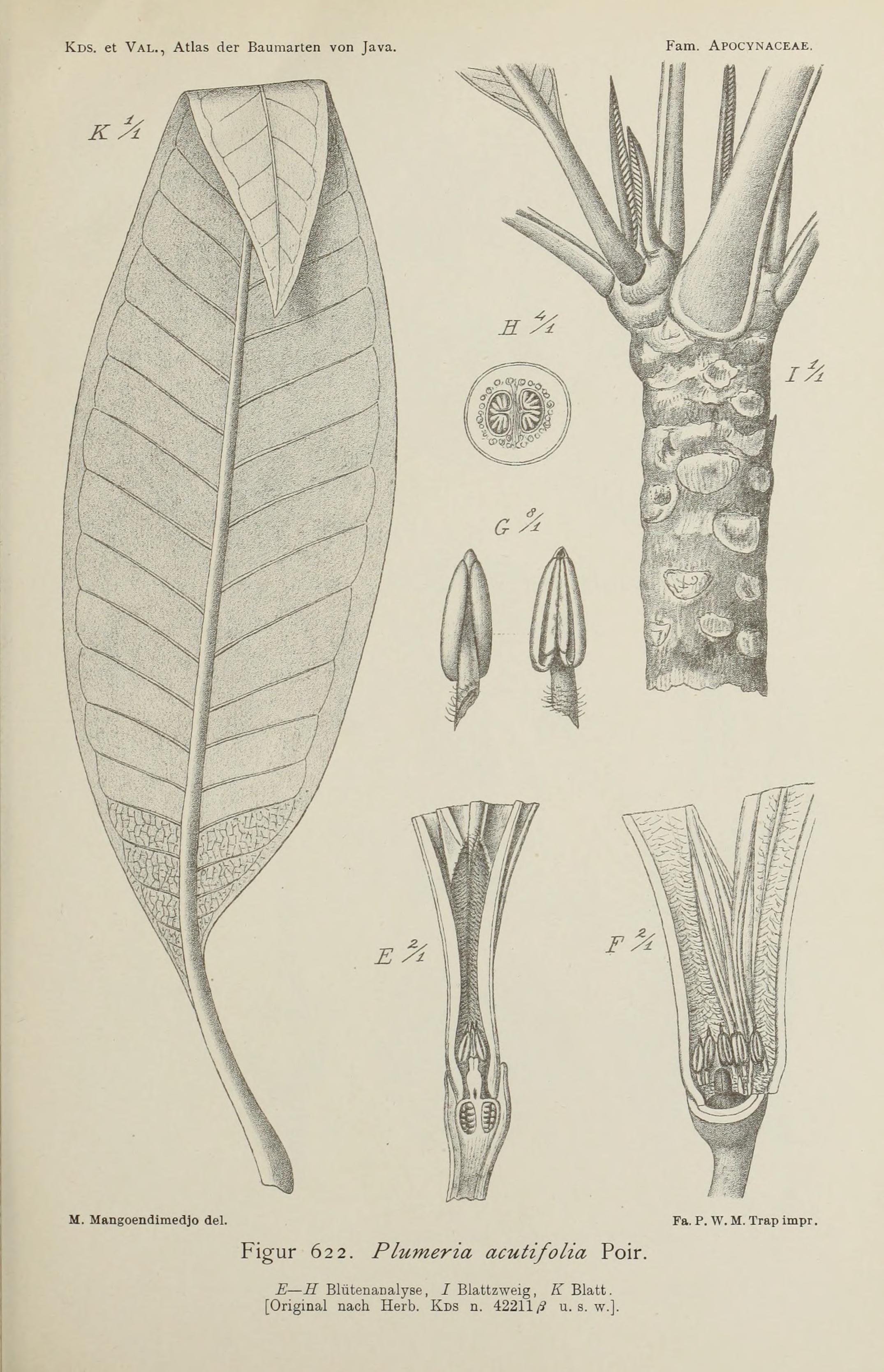 no full size  illustration available (3a)