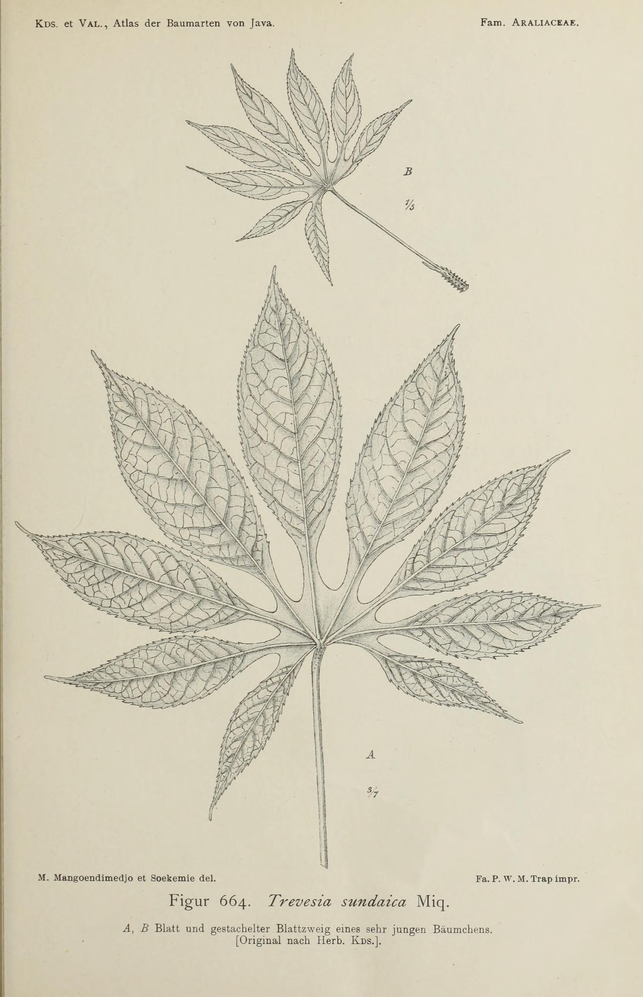 no full size  illustration available (3a)